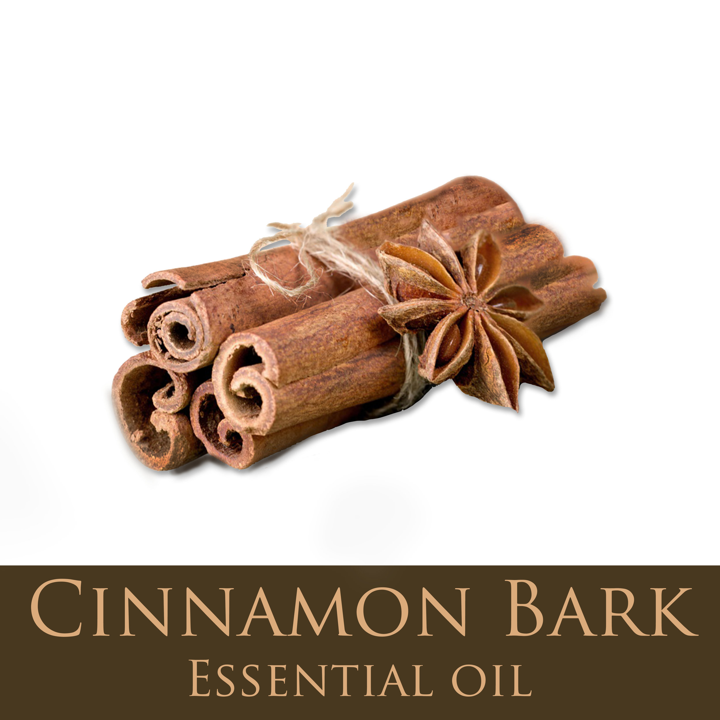 Cinnamon Bark.jpg