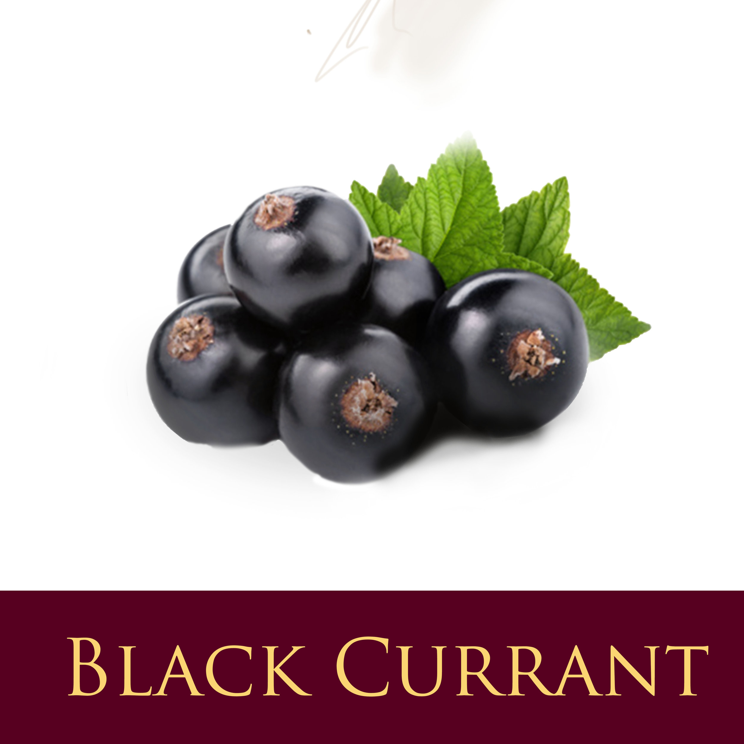 Black Currant.jpg