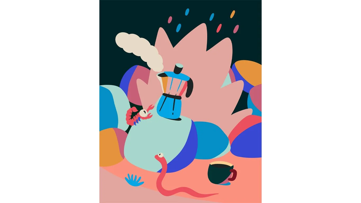 Camp Colores cover.jpg