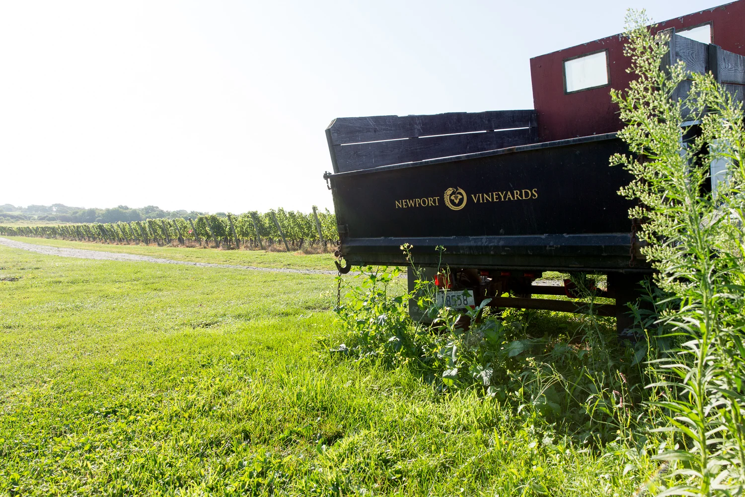 NewportVineyard_0047.jpg