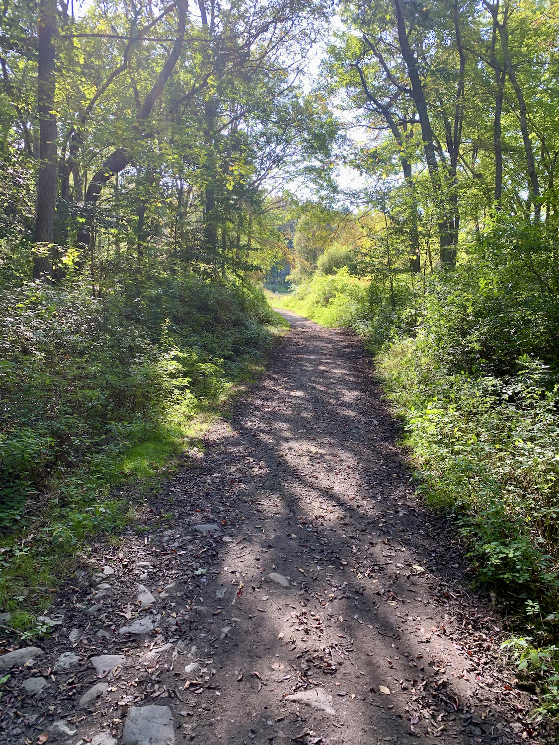 IMG_0356.jpeg