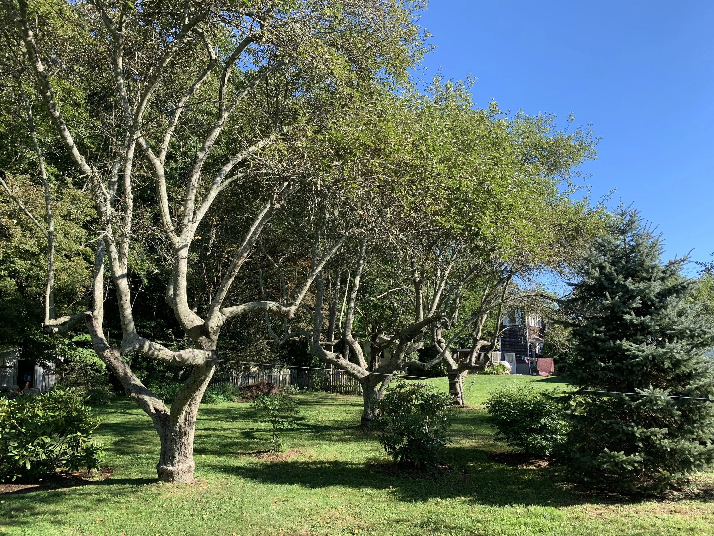 All Photos - 1 of 13.jpg