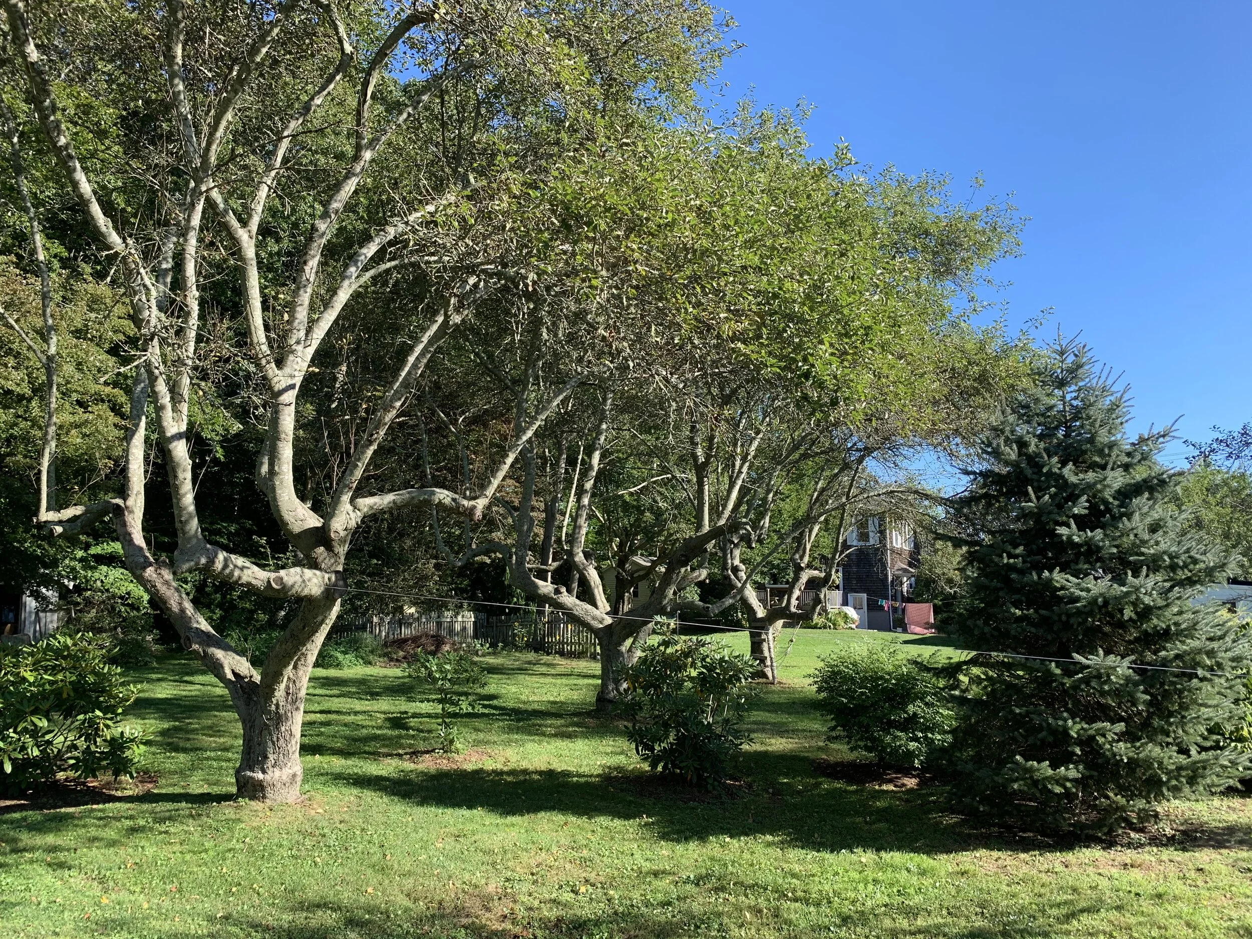 All Photos - 2 of 13.jpg