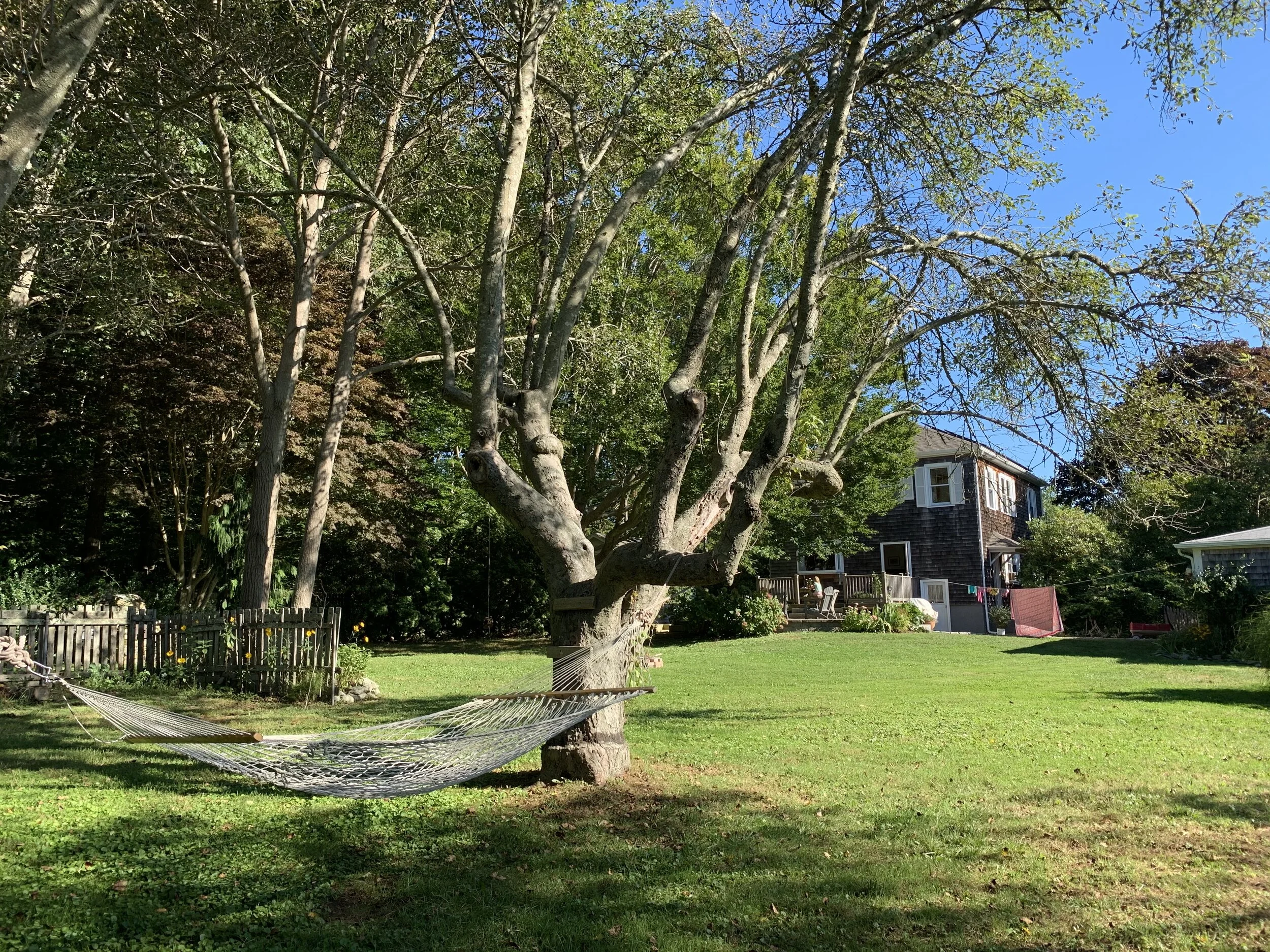 All Photos - 12 of 13.jpg