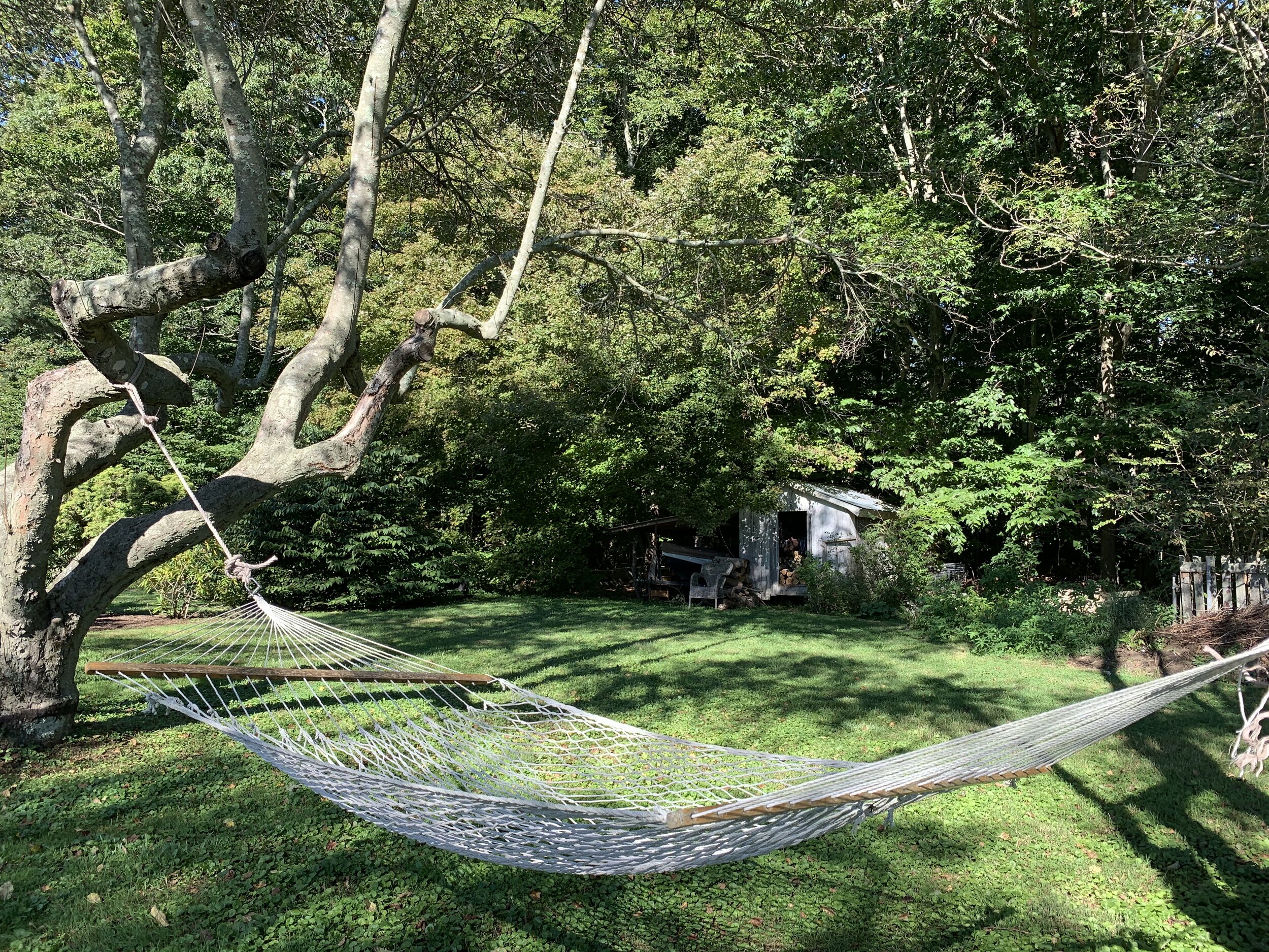 All Photos - 13 of 13.jpg