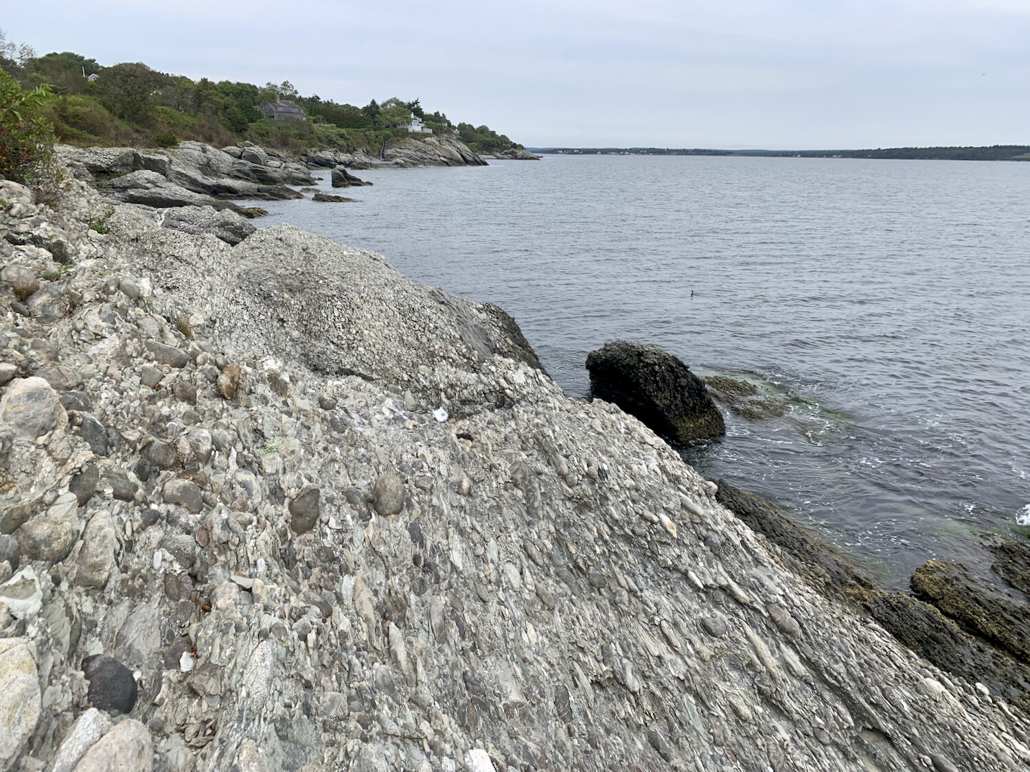 IMG_0443.jpeg