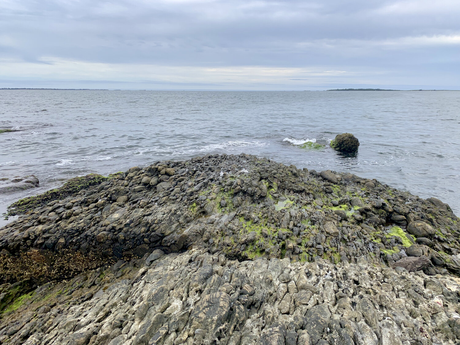 IMG_0471.jpeg