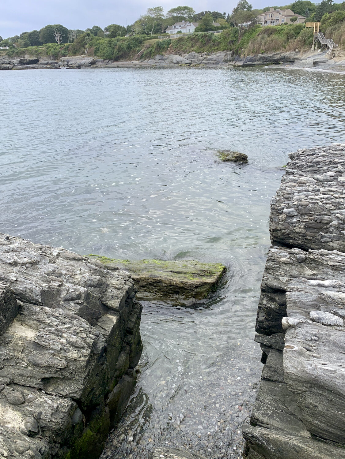 IMG_0487.jpeg