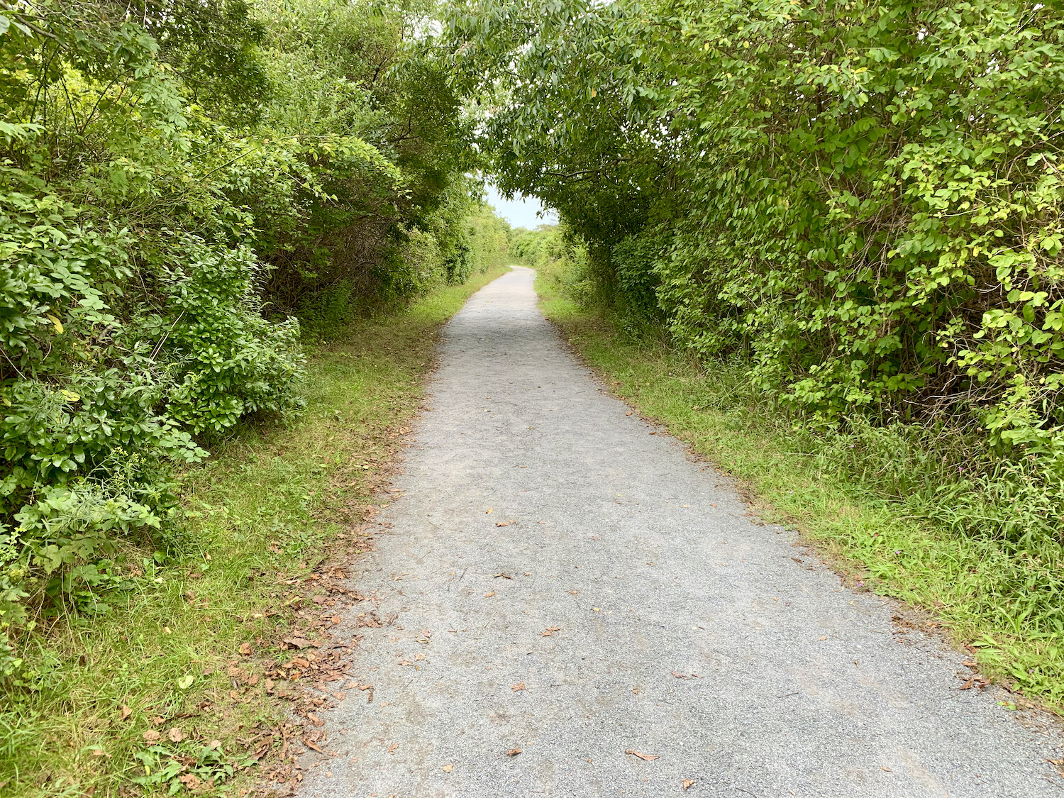 IMG_0526.jpeg