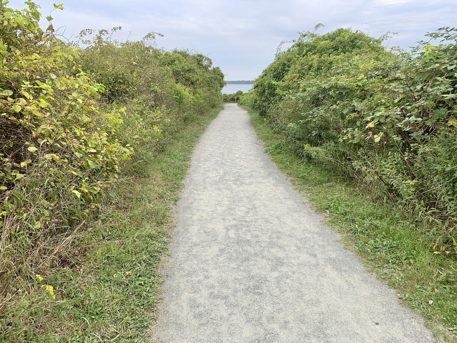 IMG_0532.jpeg