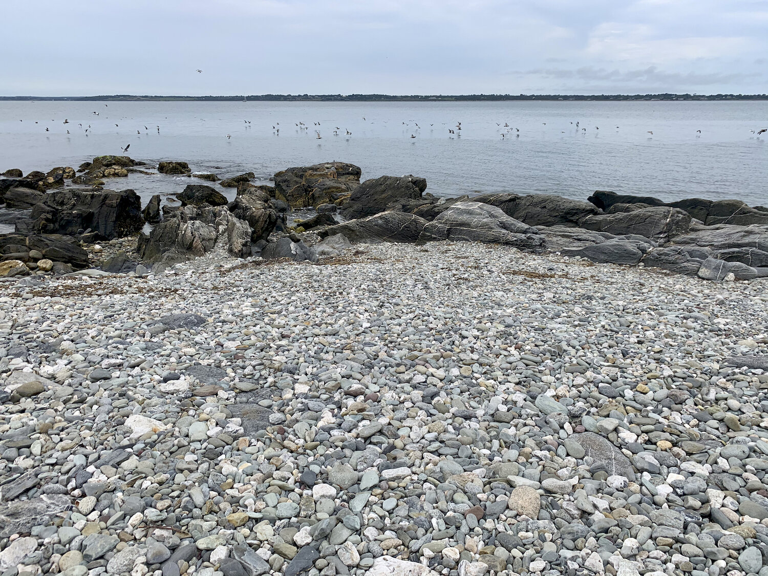IMG_0545.jpeg