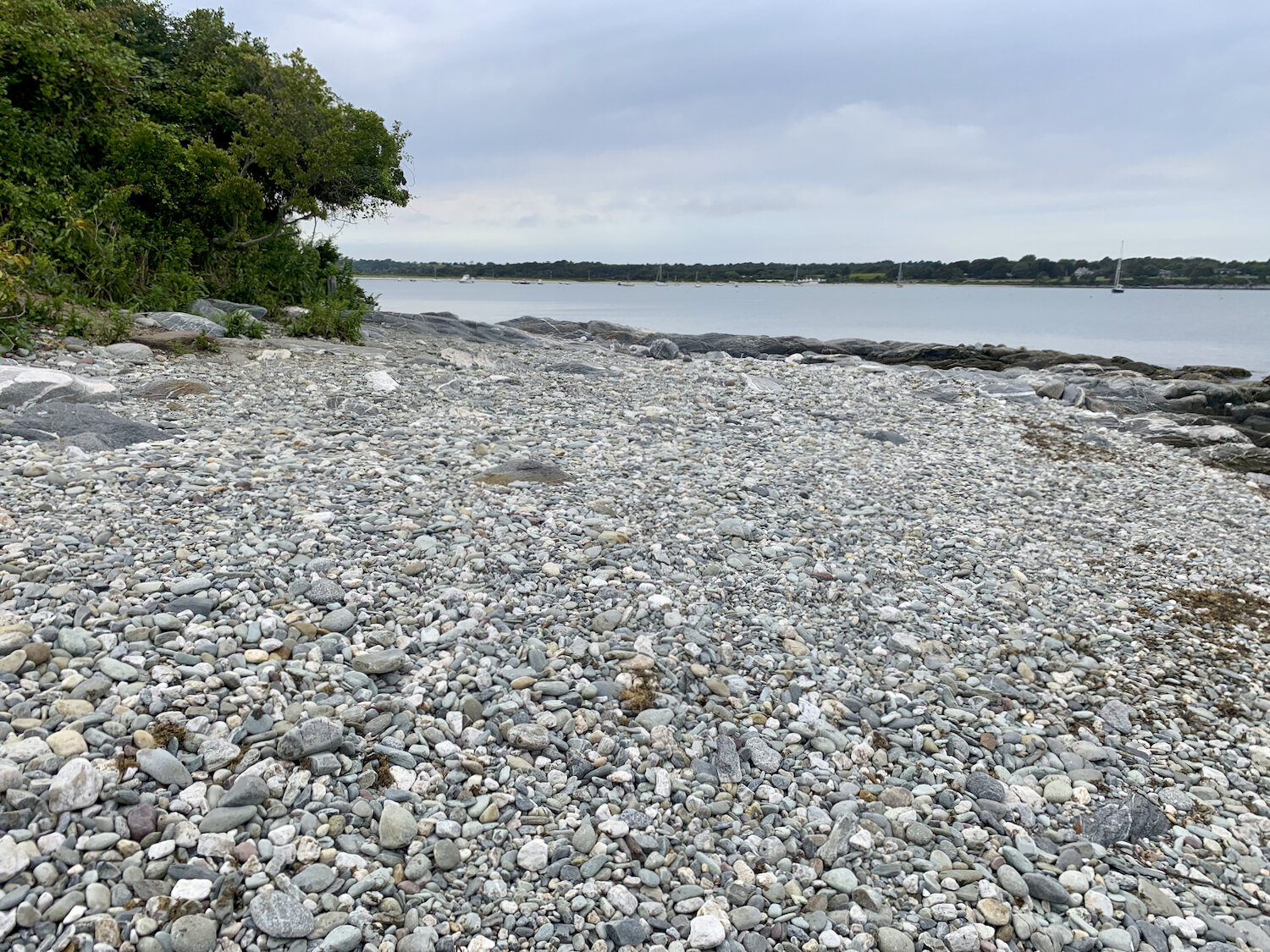 IMG_0550.jpeg