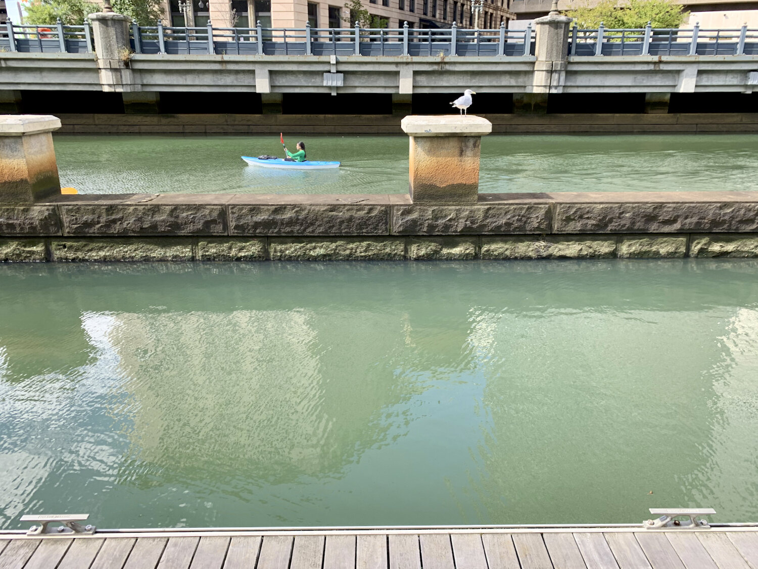 IMG_0919.jpeg