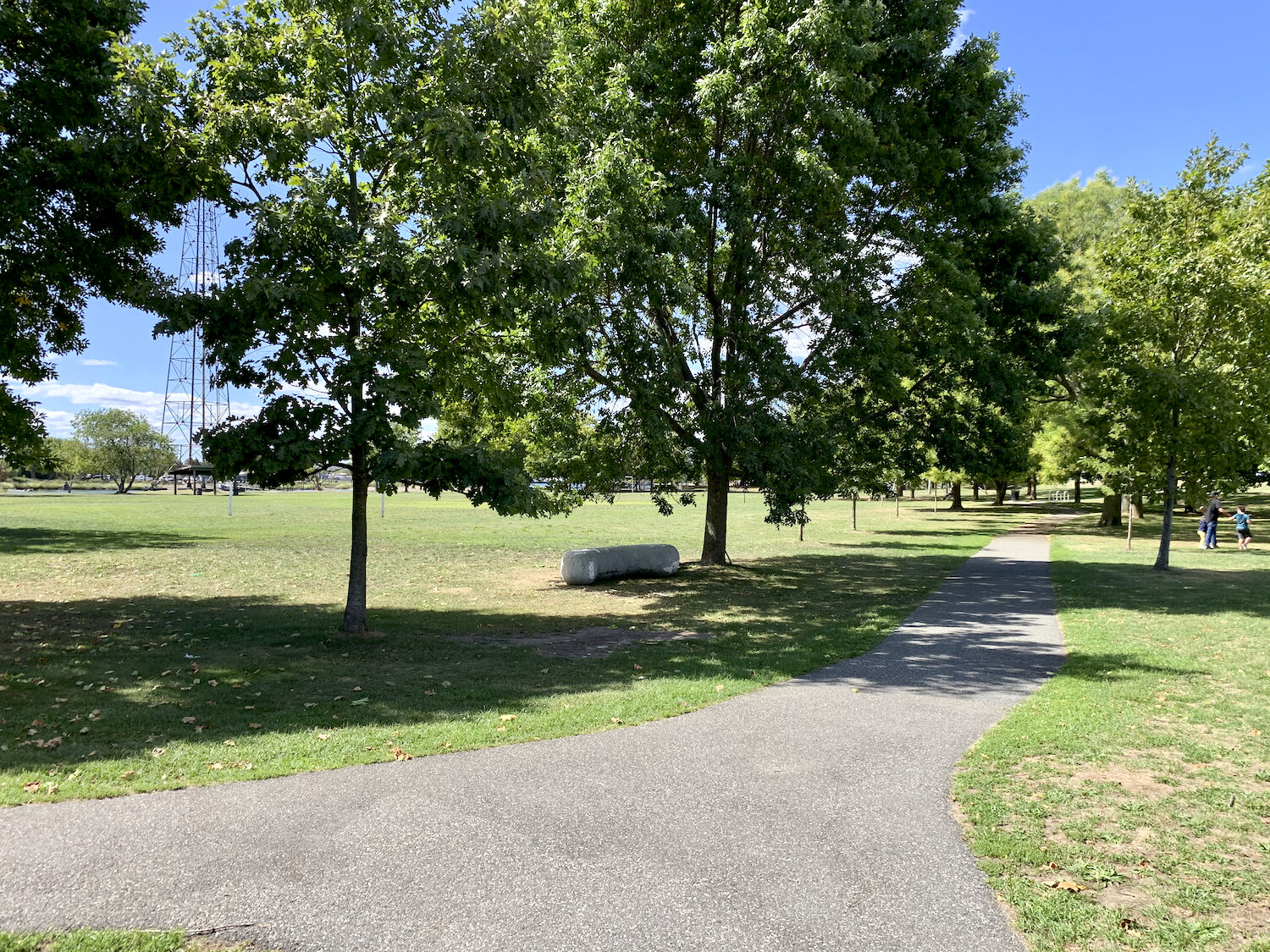 IMG_1135.jpeg