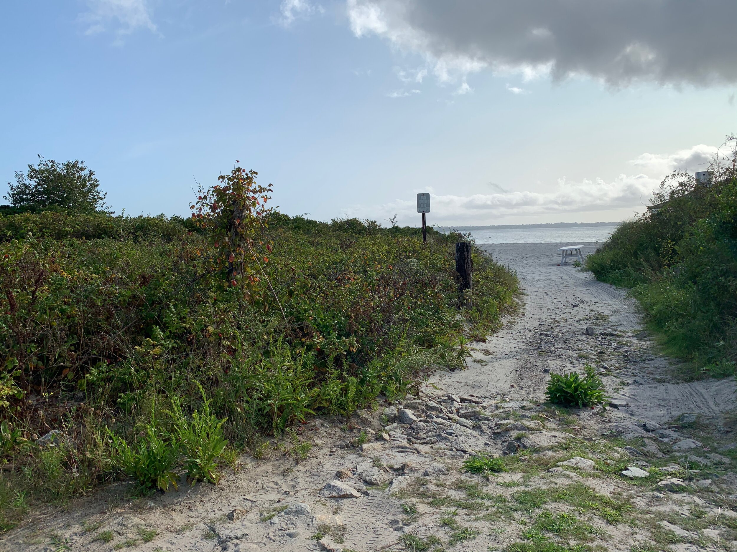 IMG_0676.jpeg