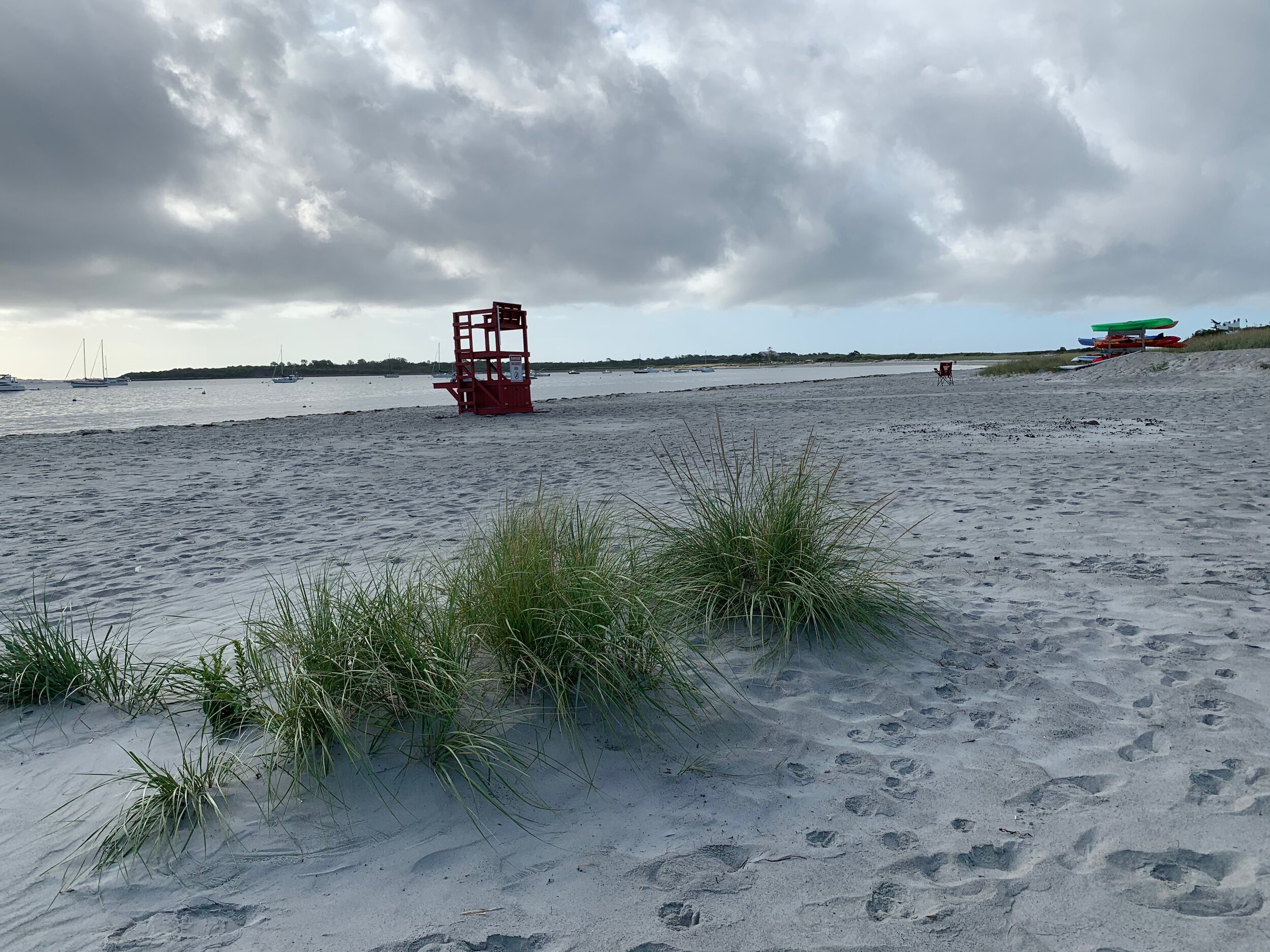IMG_0703.jpeg