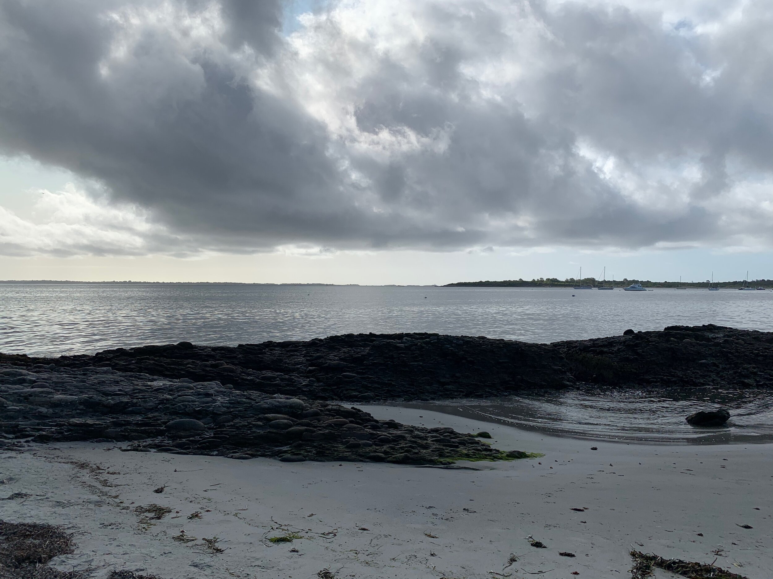 IMG_0772.jpeg