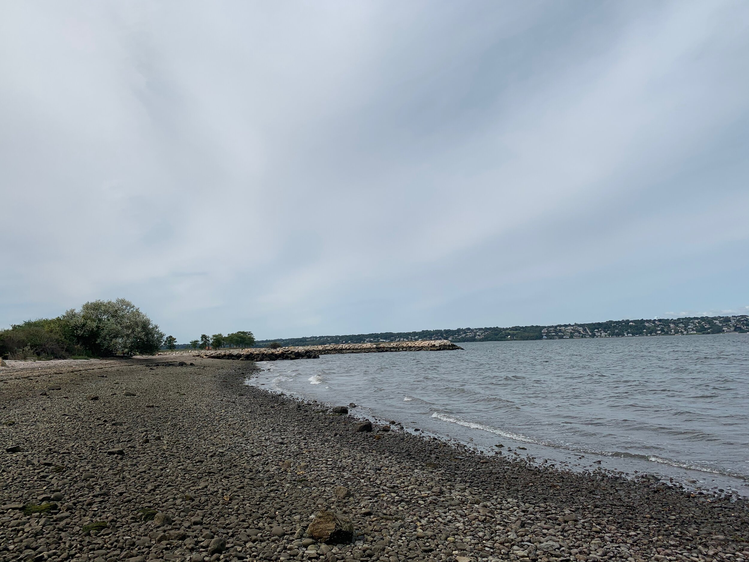 IMG_1090.jpeg