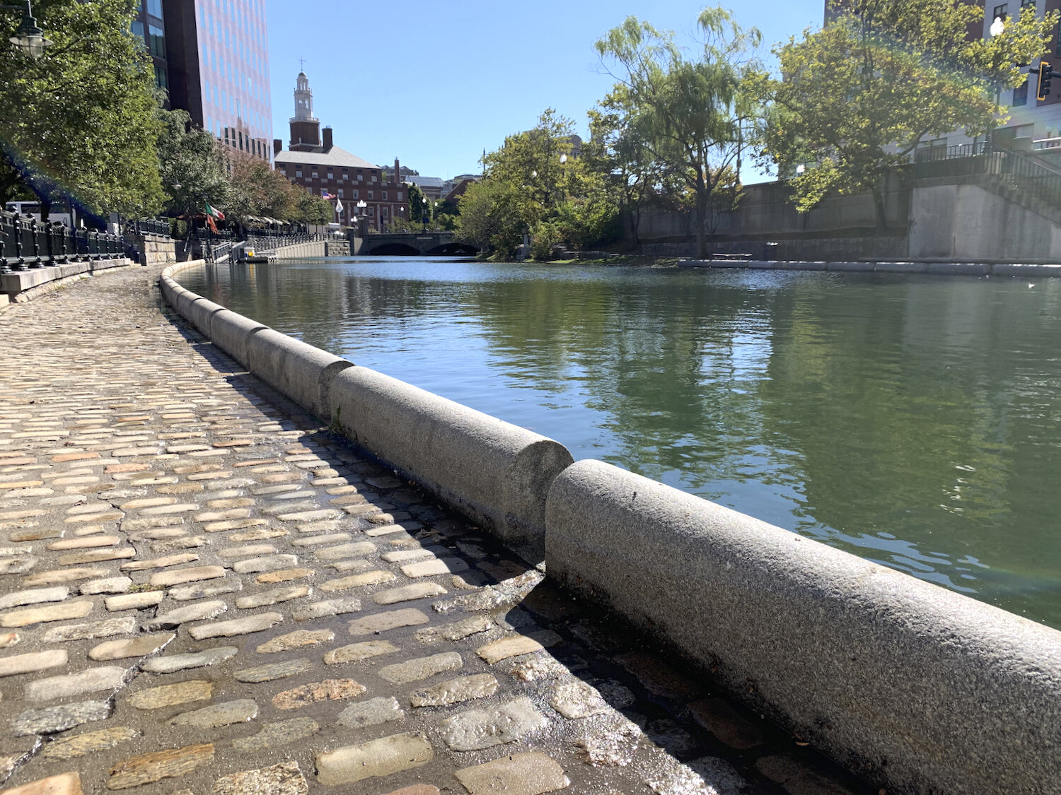 IMG_1584.jpeg