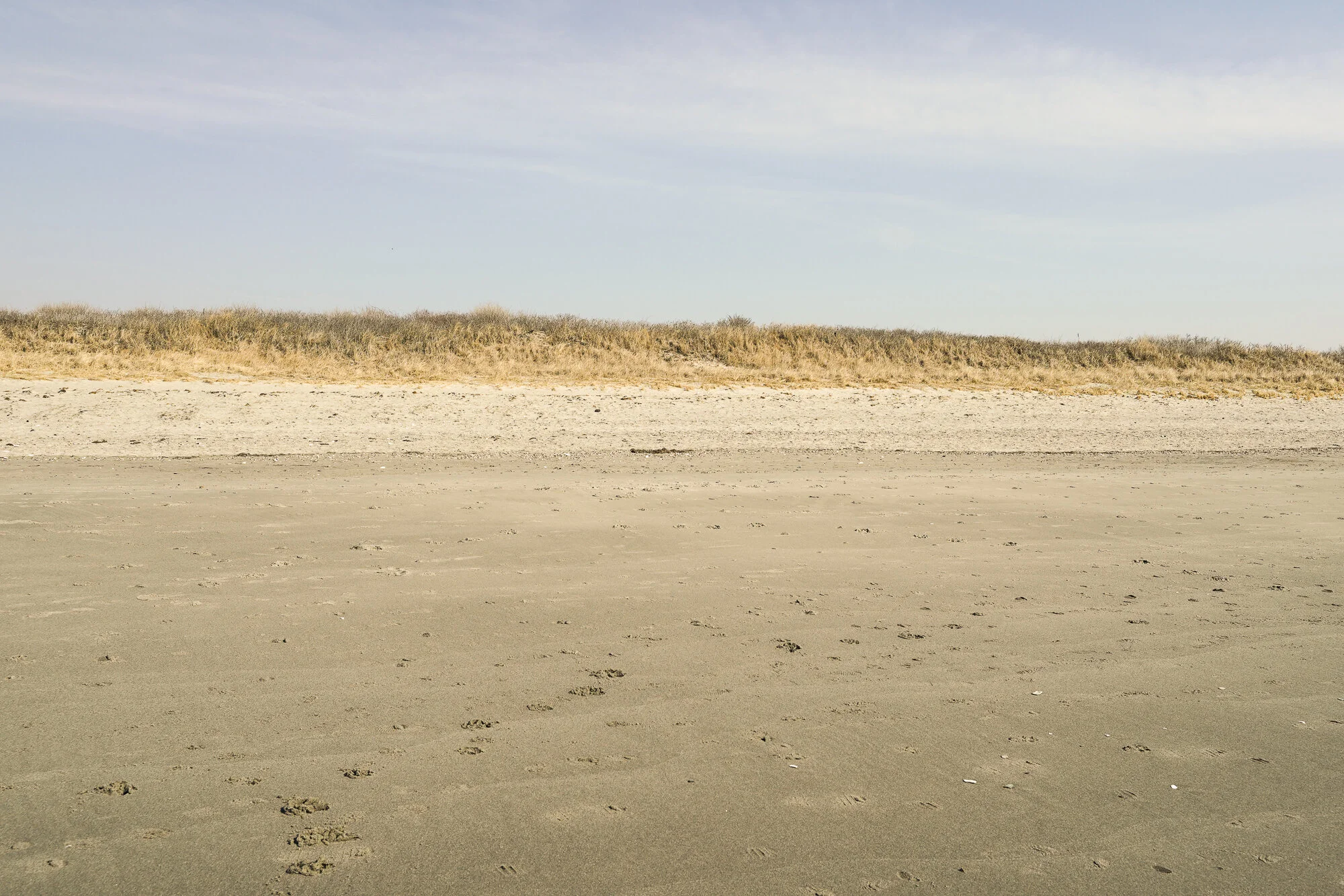 2nd Beach-16.jpg