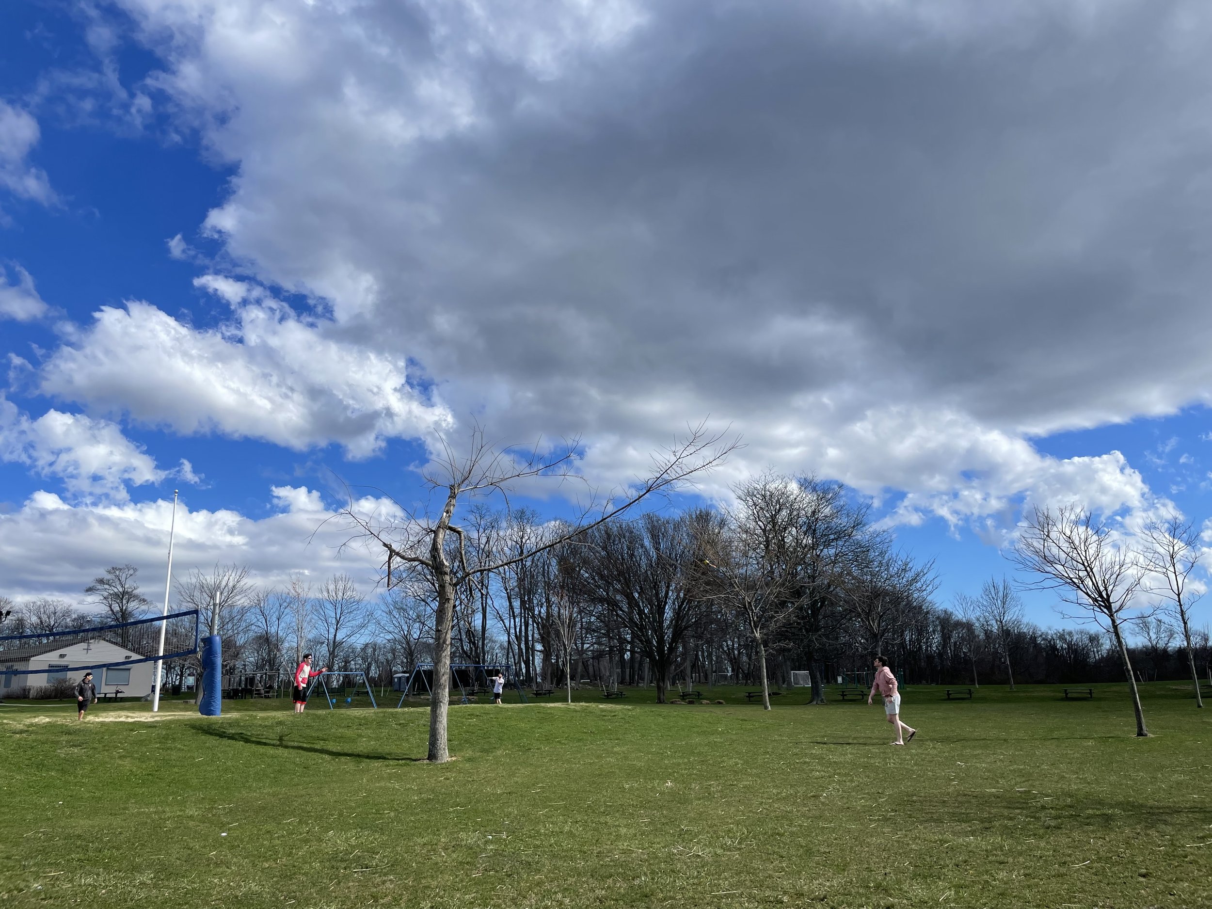 IMG_6629.jpeg