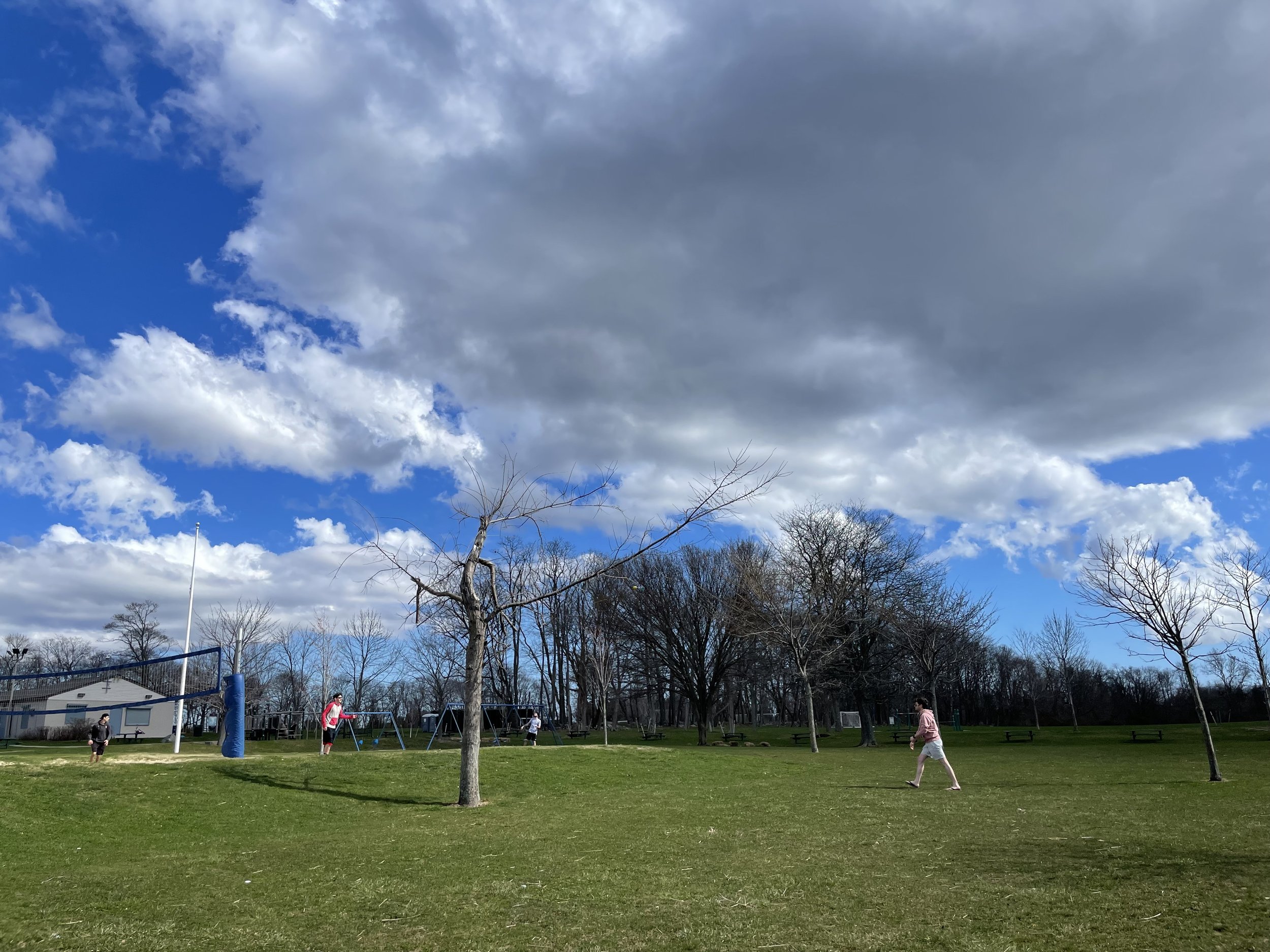 IMG_6630.jpeg