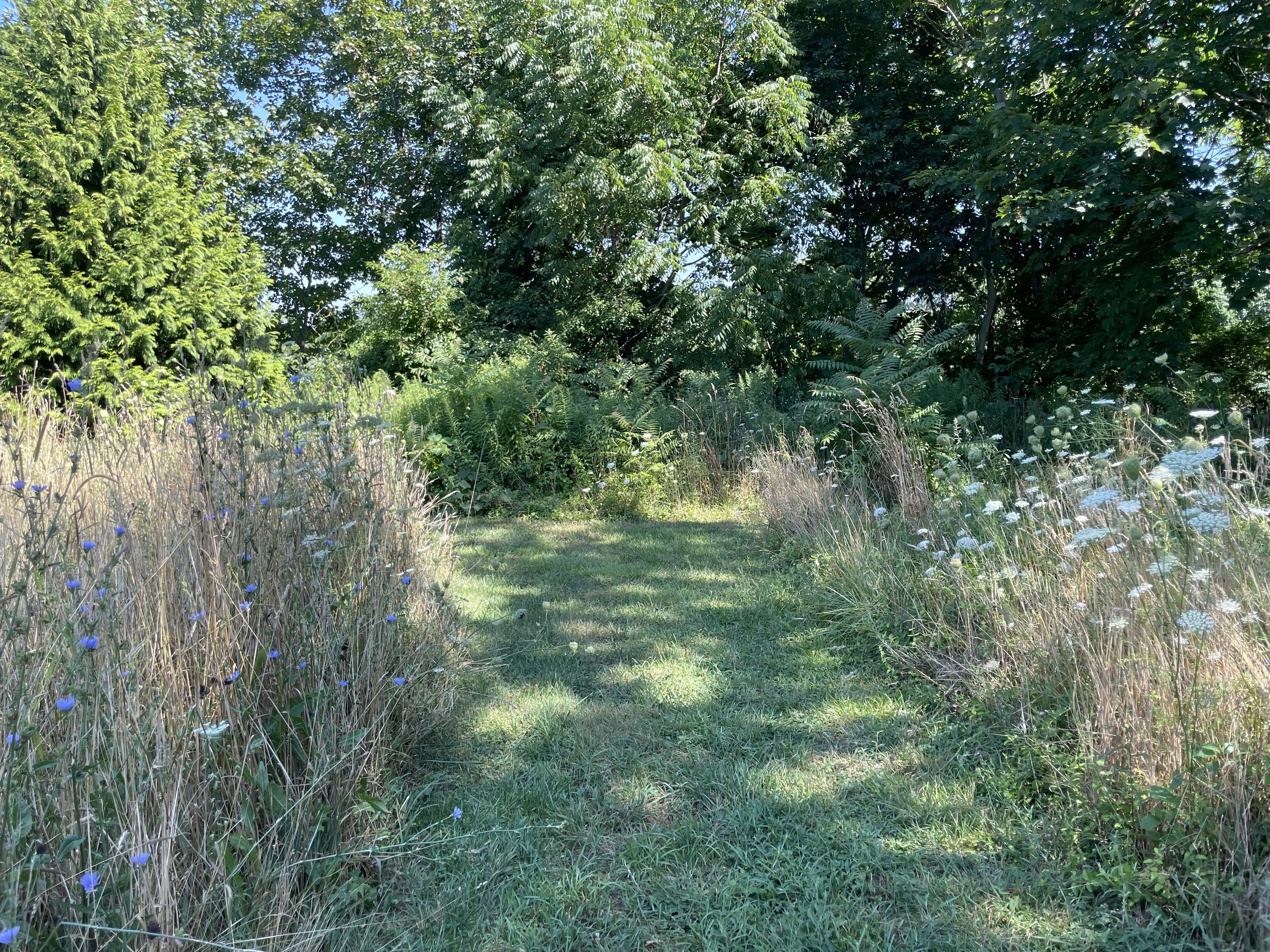 IMG_2540.jpeg