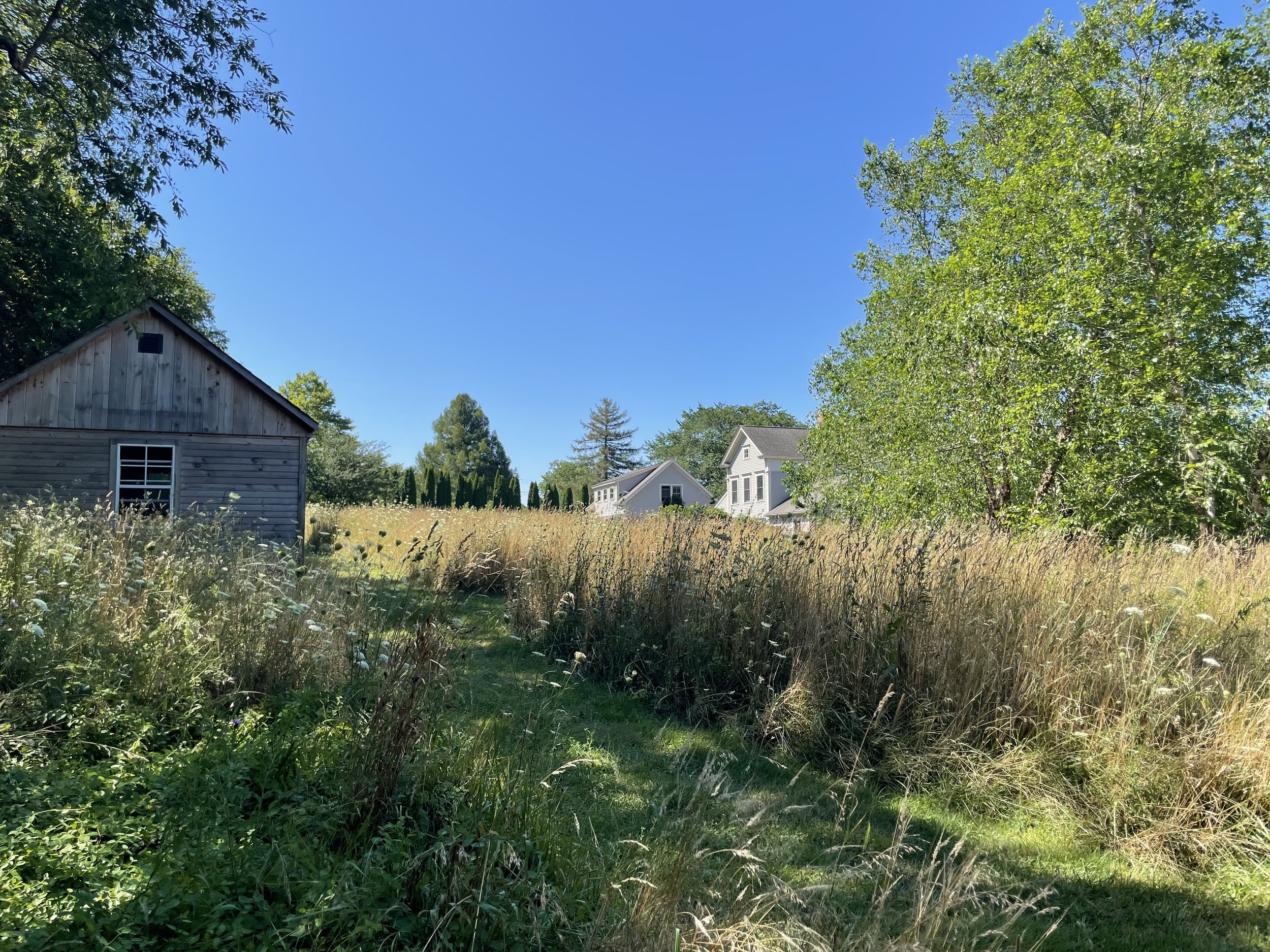 IMG_2543.jpeg