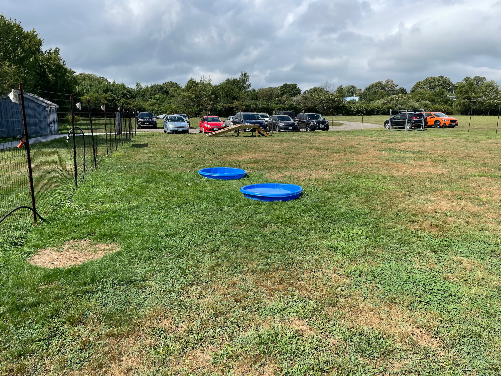 IMG_6514.jpeg