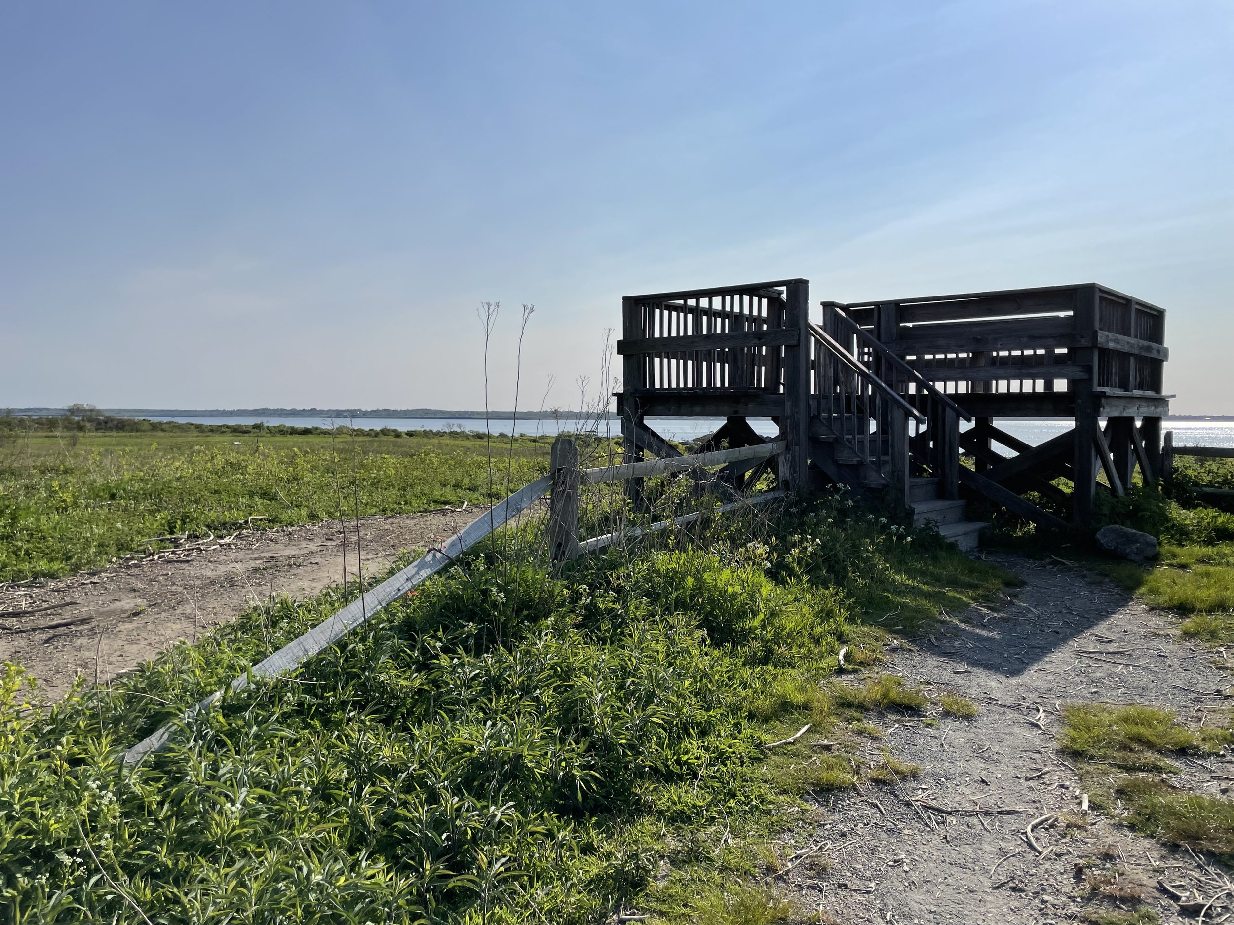 IMG_6939.jpeg