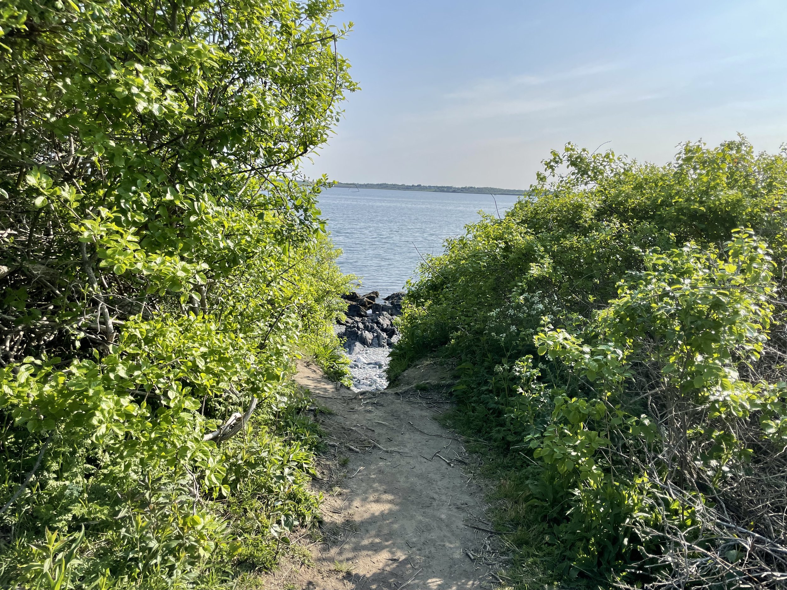 IMG_6958.jpeg