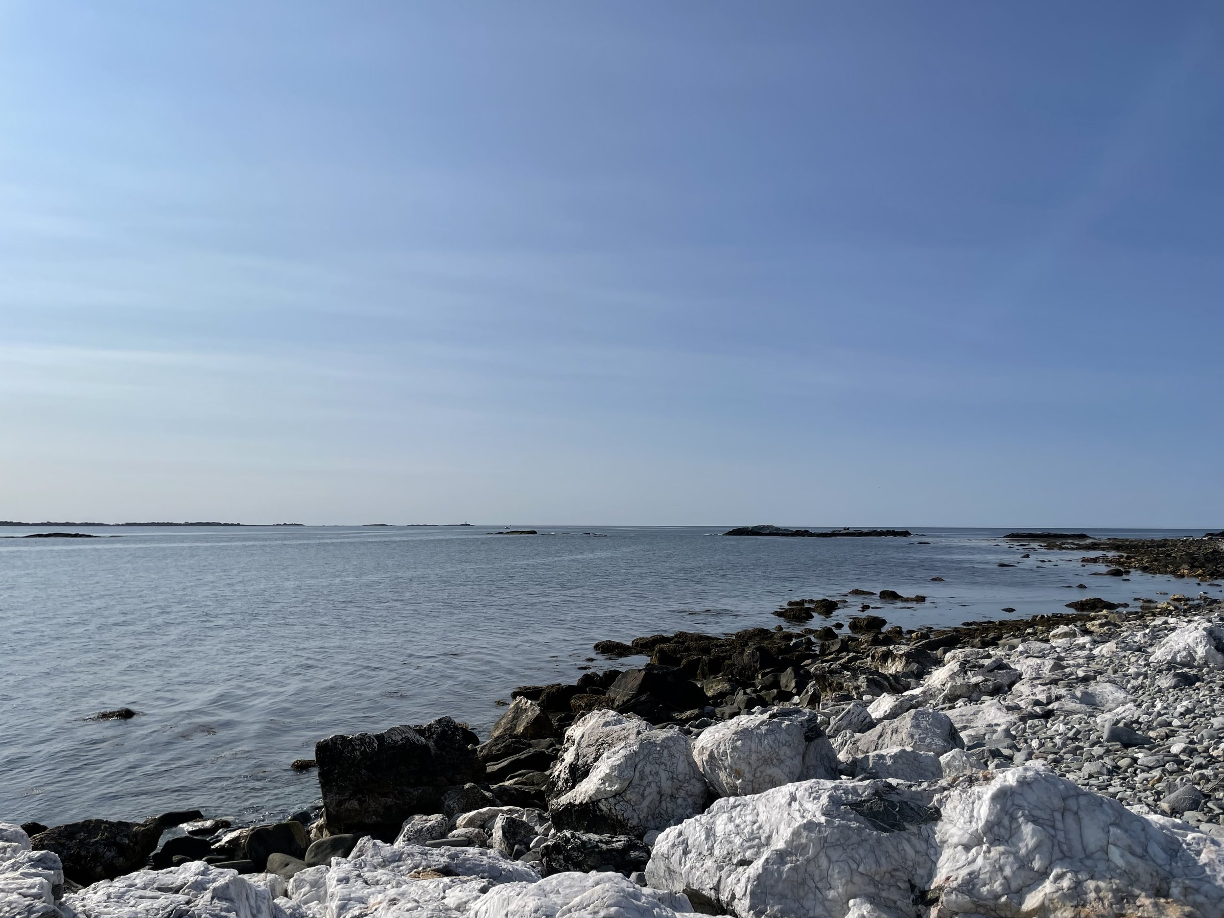 IMG_6981.jpeg