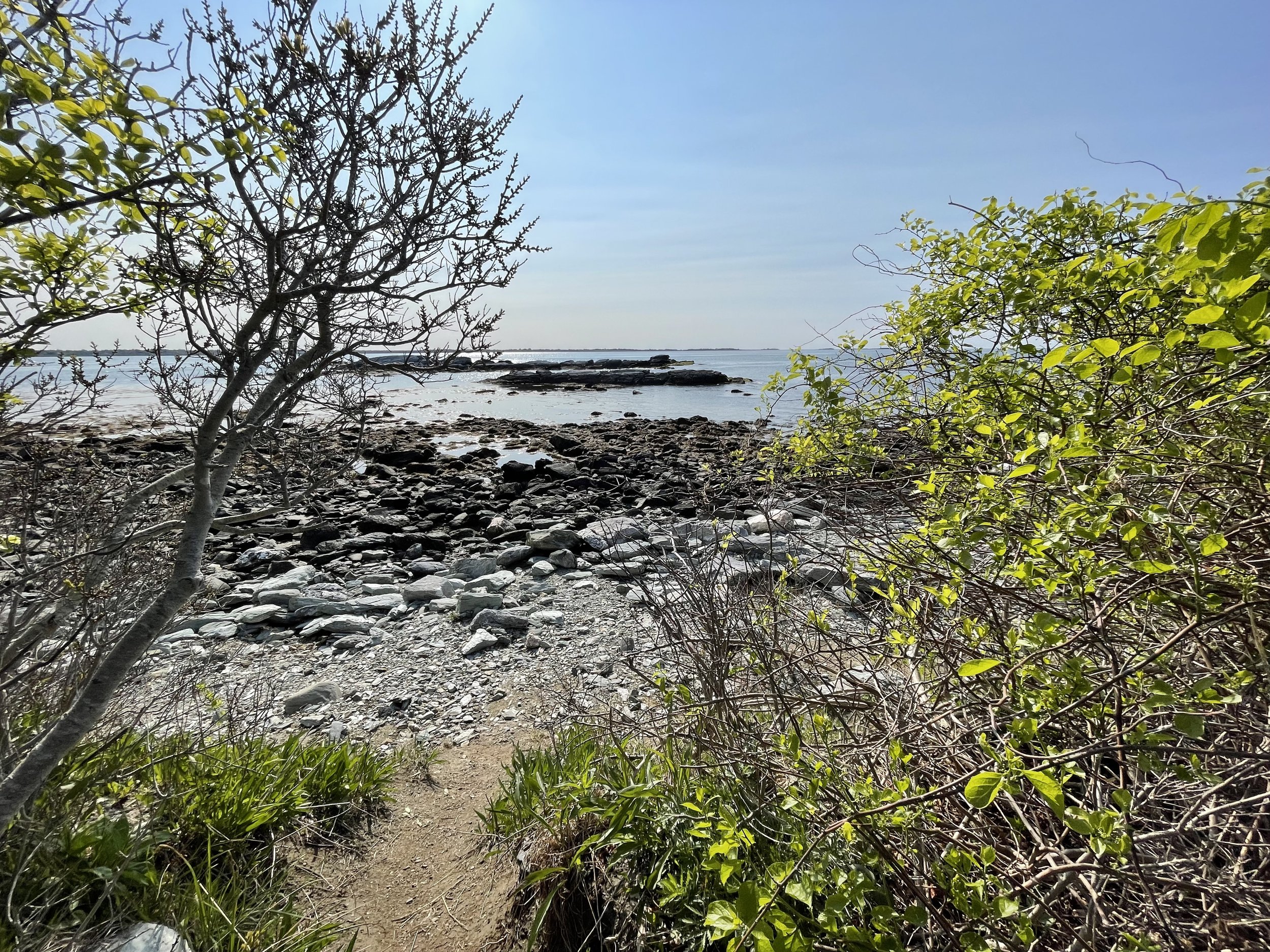 IMG_6991.jpeg