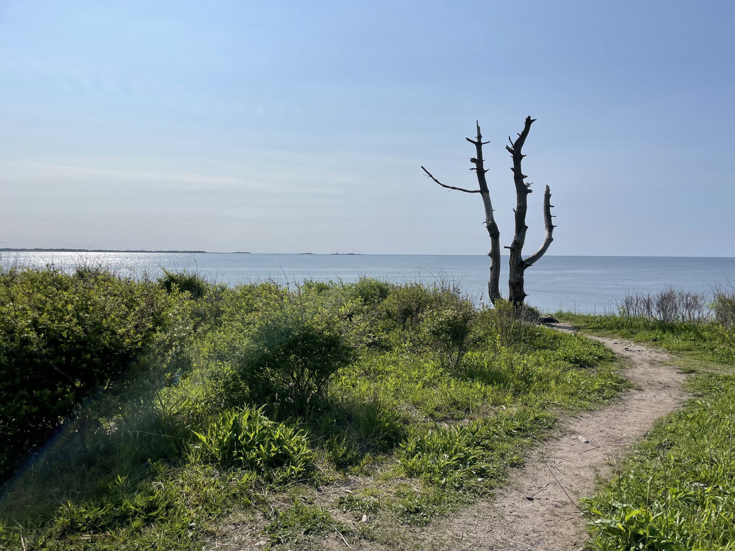 IMG_7065.jpeg
