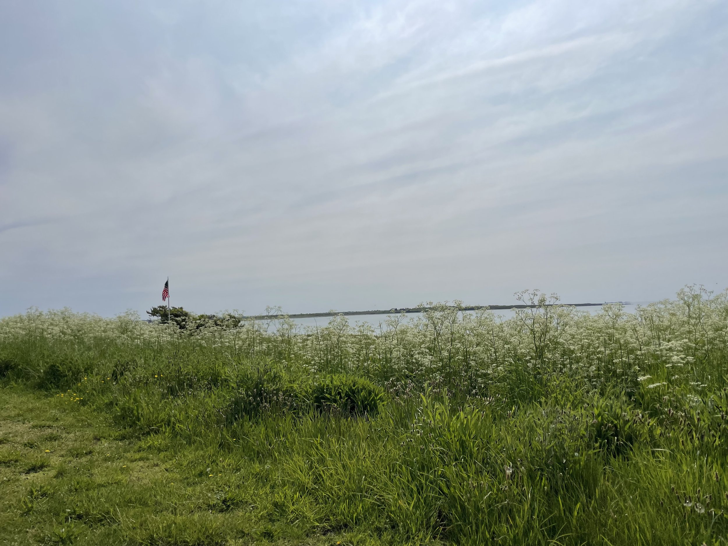 IMG_7131.jpeg