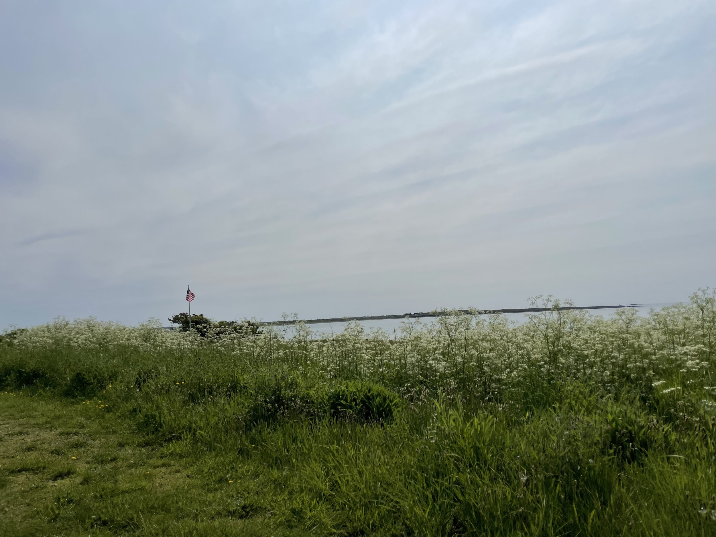 IMG_7132.jpeg