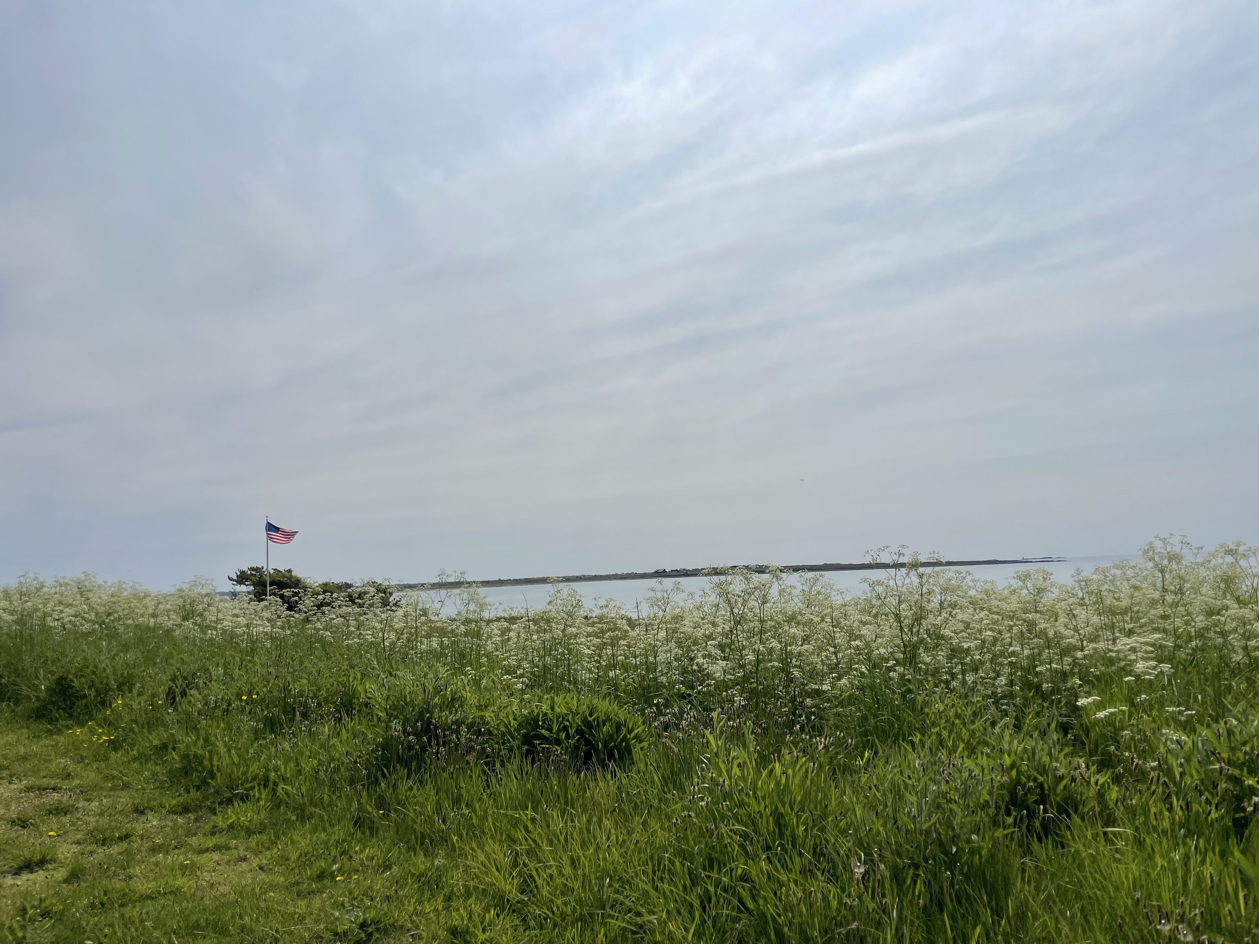 IMG_7133.jpeg