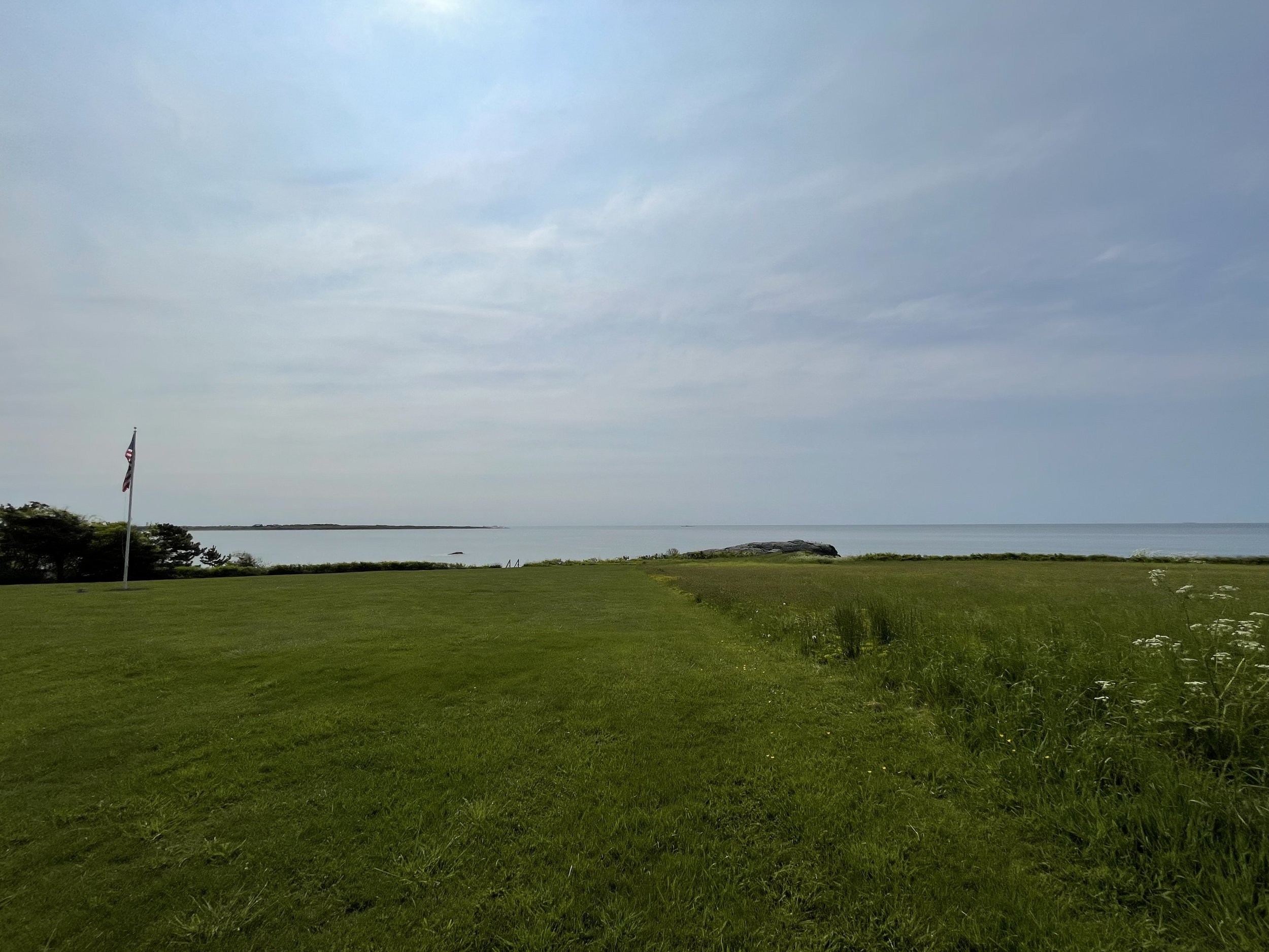 IMG_7137.jpeg