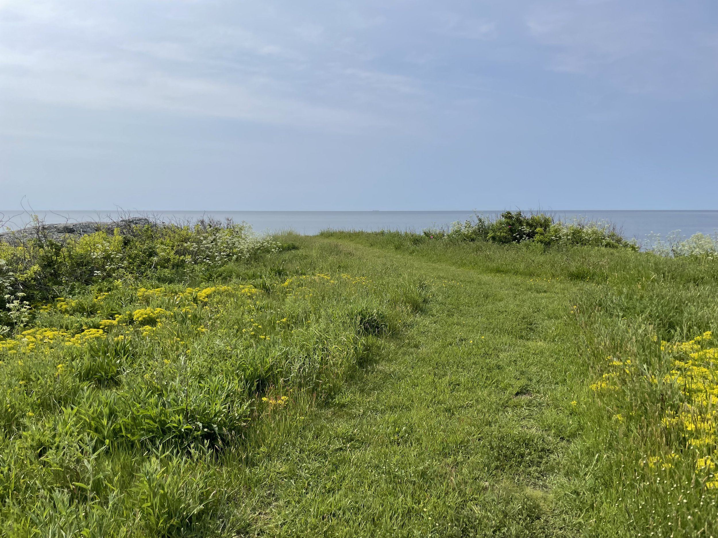 IMG_7152.jpeg