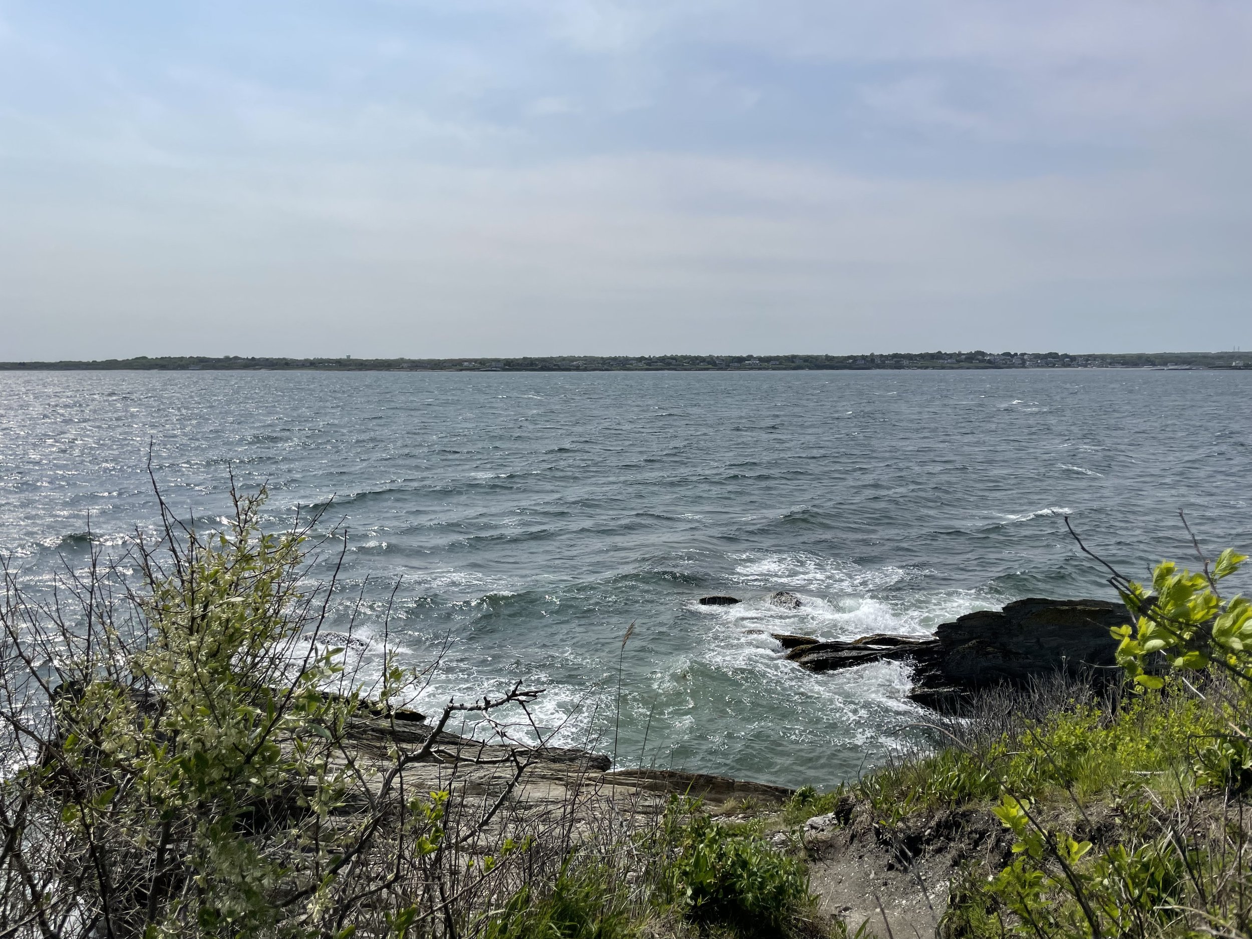 IMG_7267.jpeg