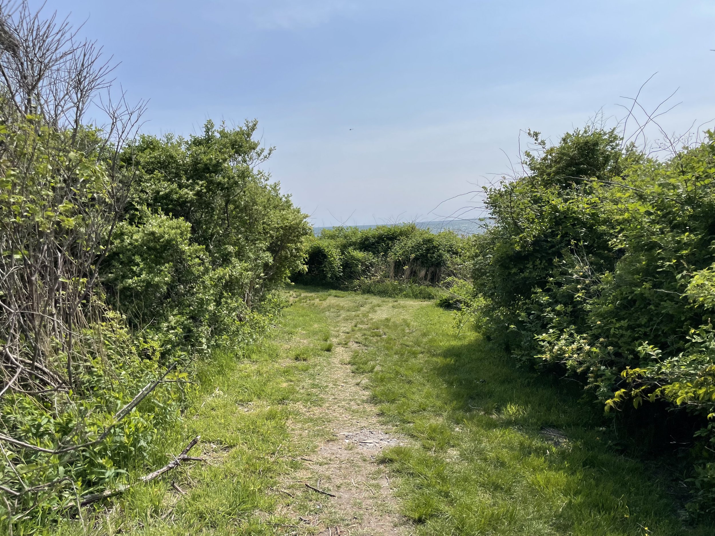 IMG_7270.jpeg