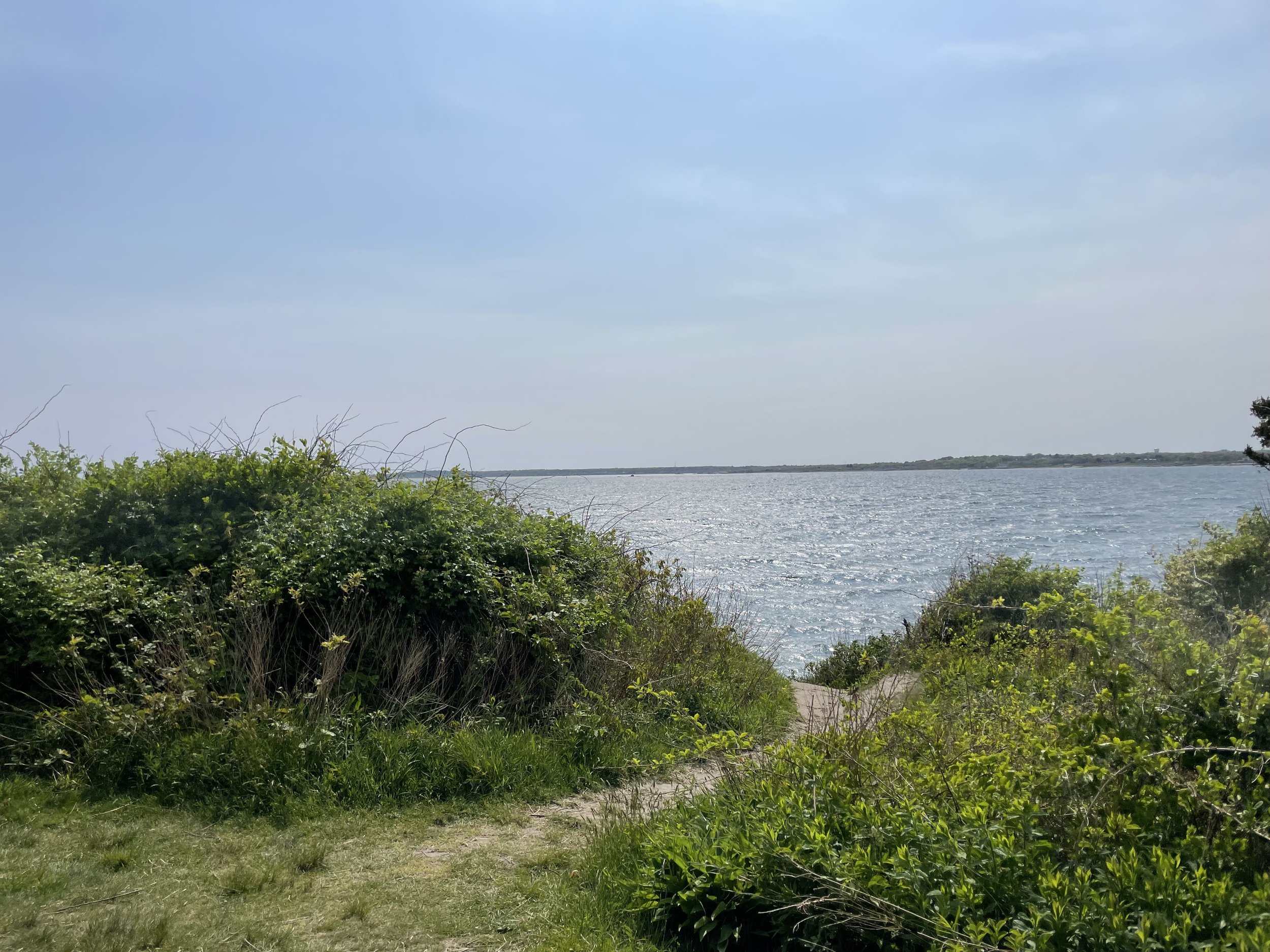 IMG_7271.jpeg