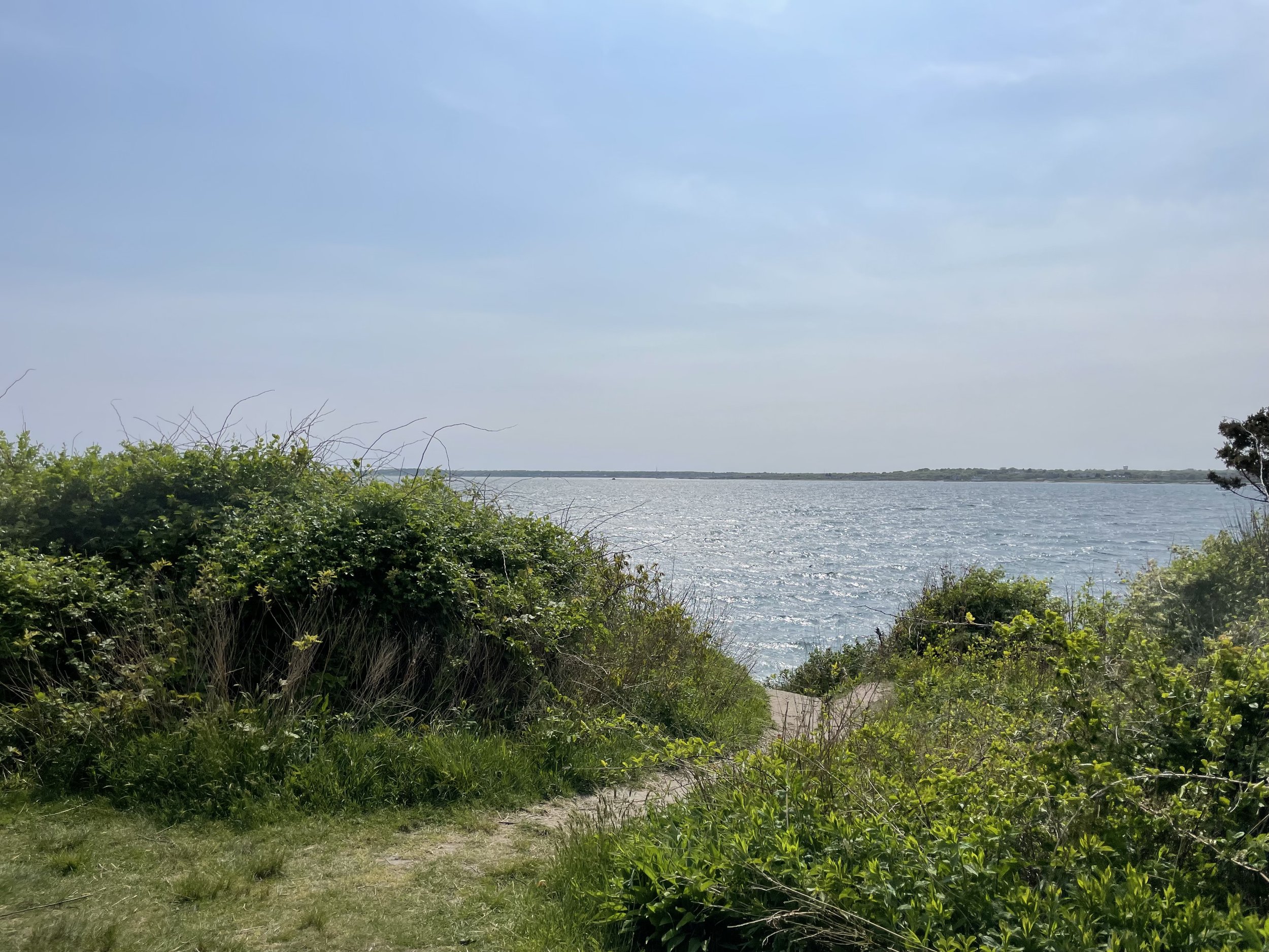 IMG_7272.jpeg