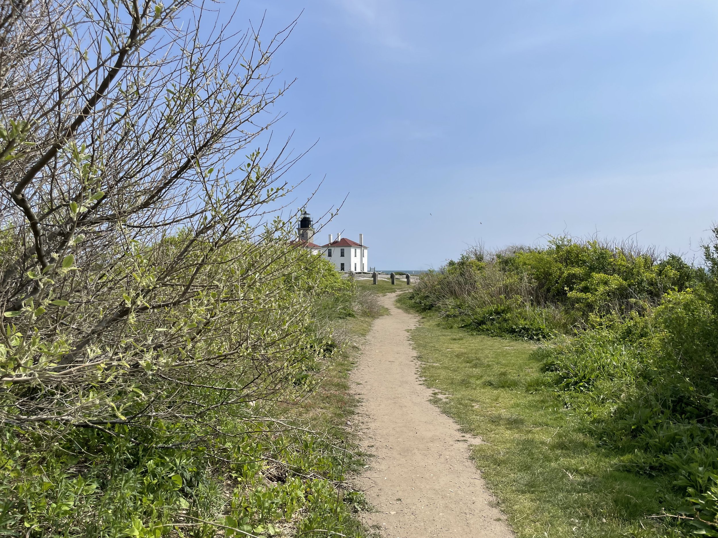 IMG_7283.jpeg