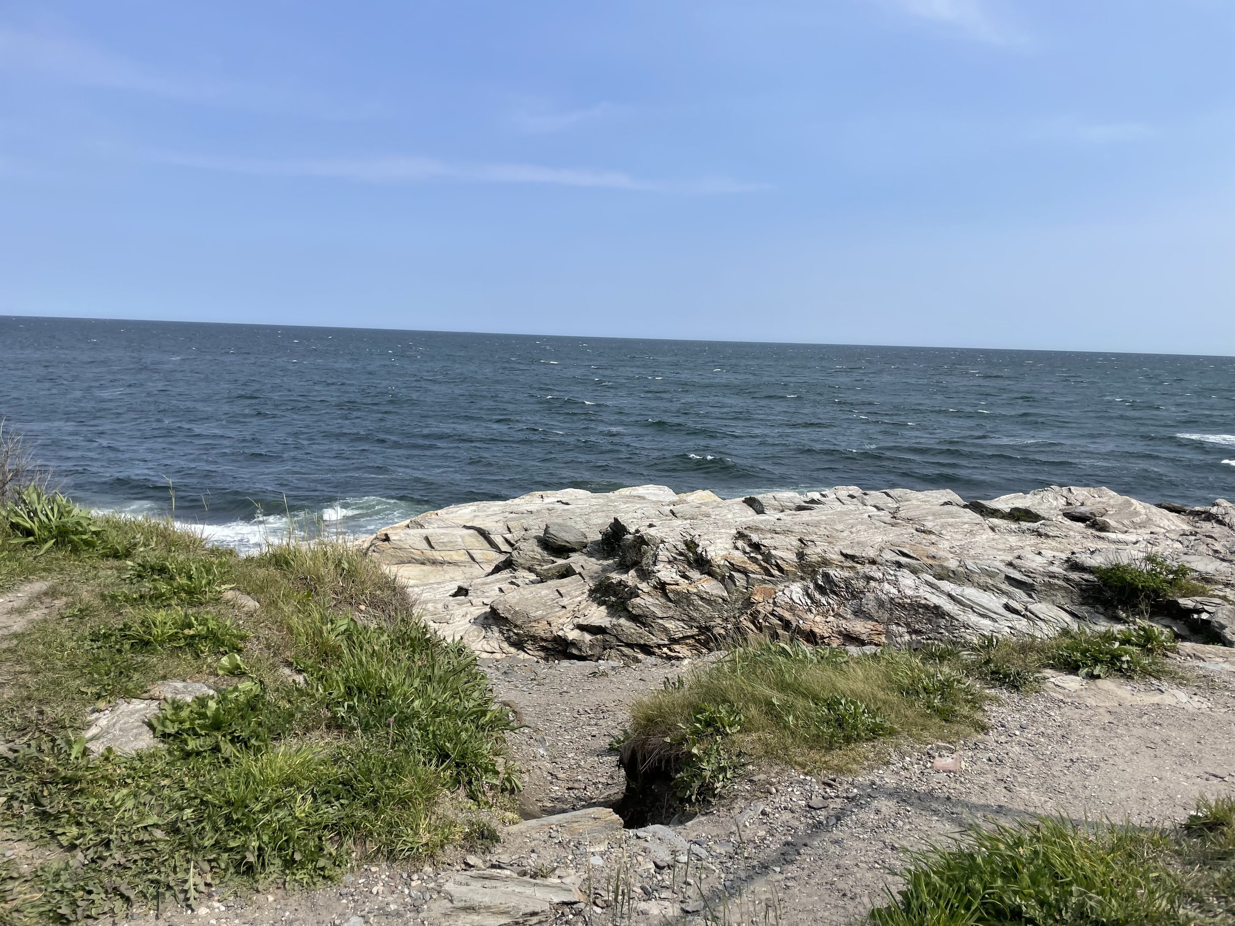 IMG_7300.jpeg