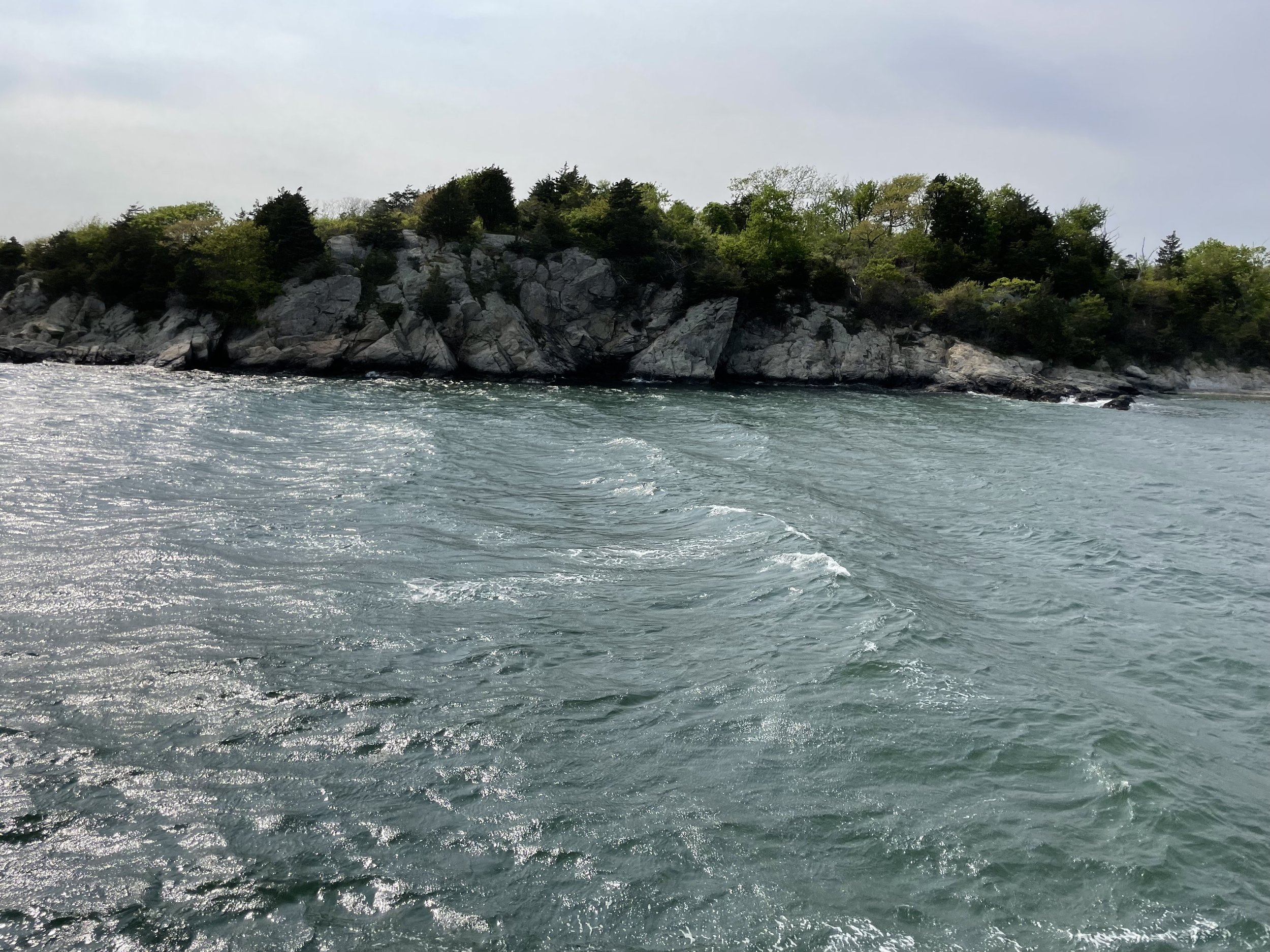 IMG_7310.jpeg