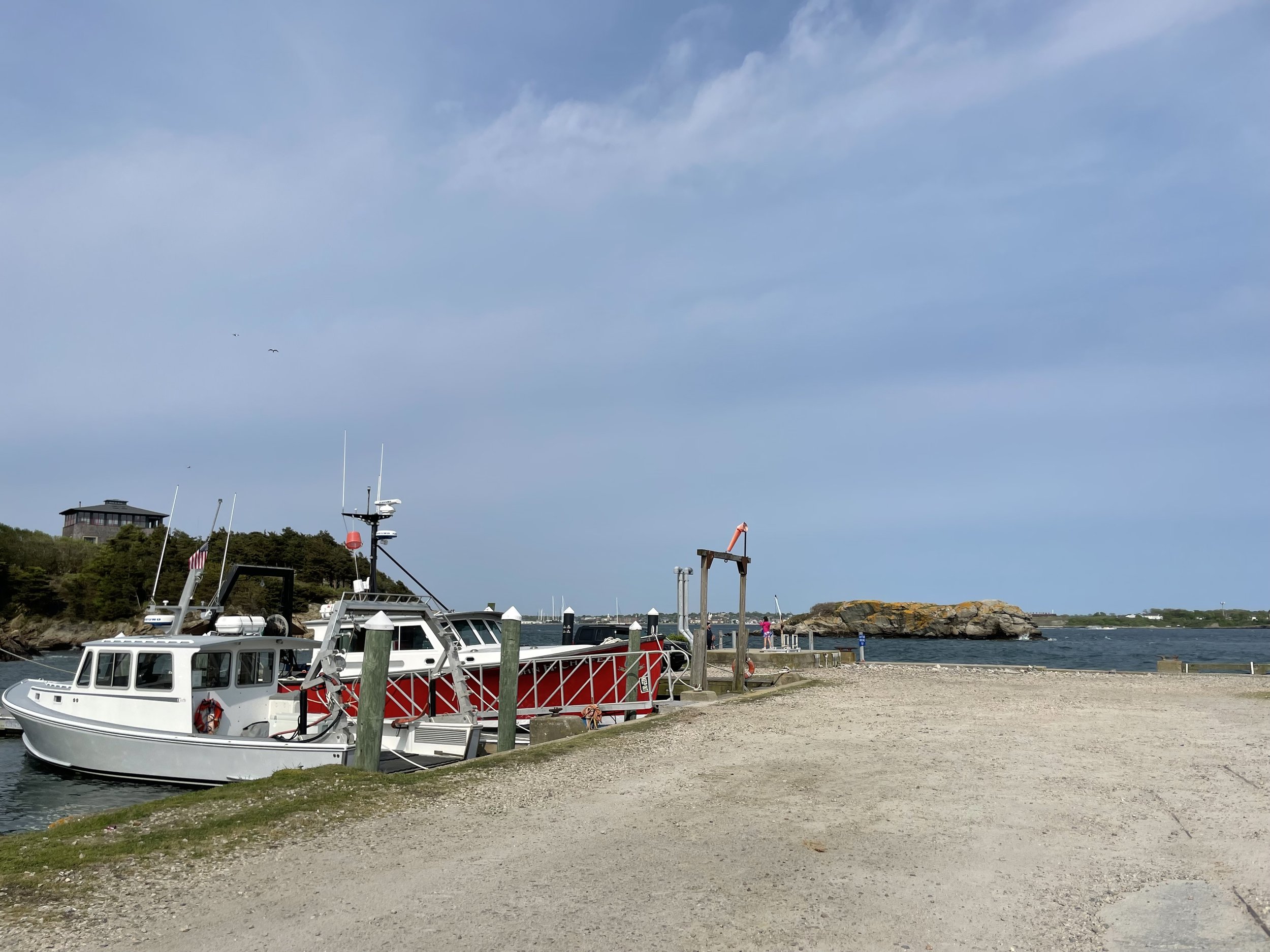 IMG_7321.jpeg