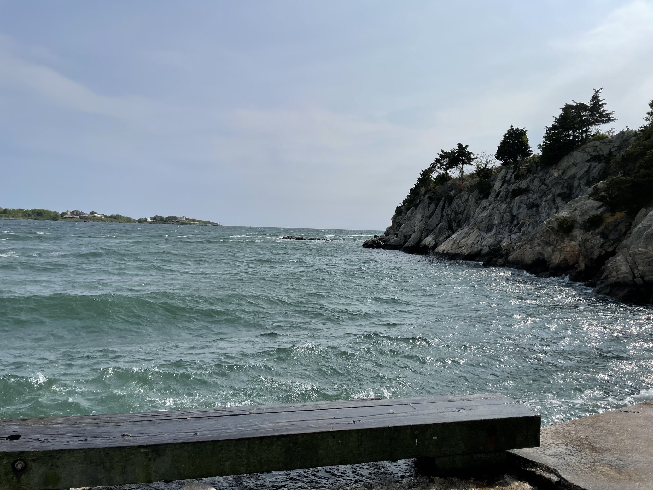 IMG_7330.jpeg