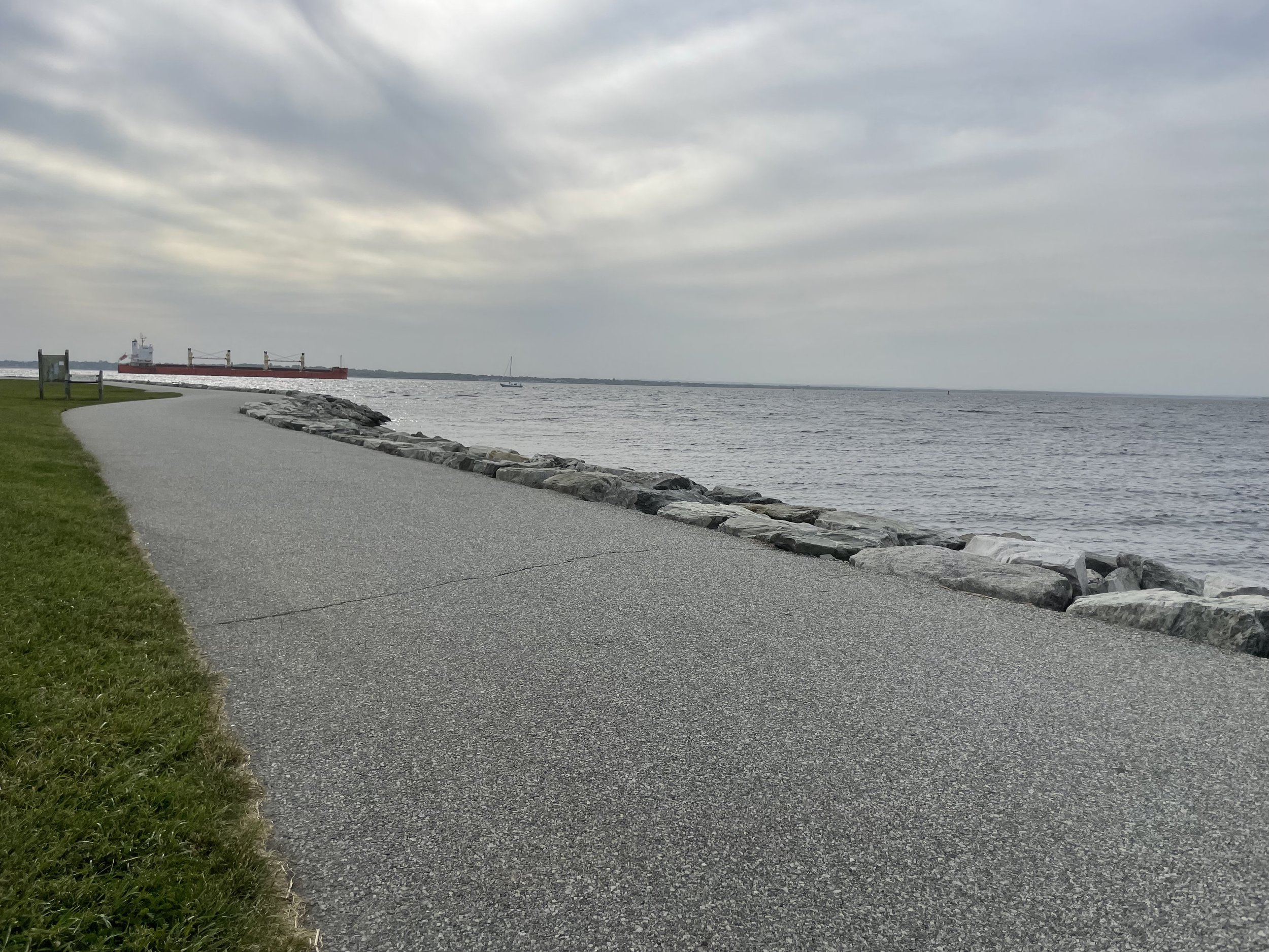 IMG_7448.jpeg