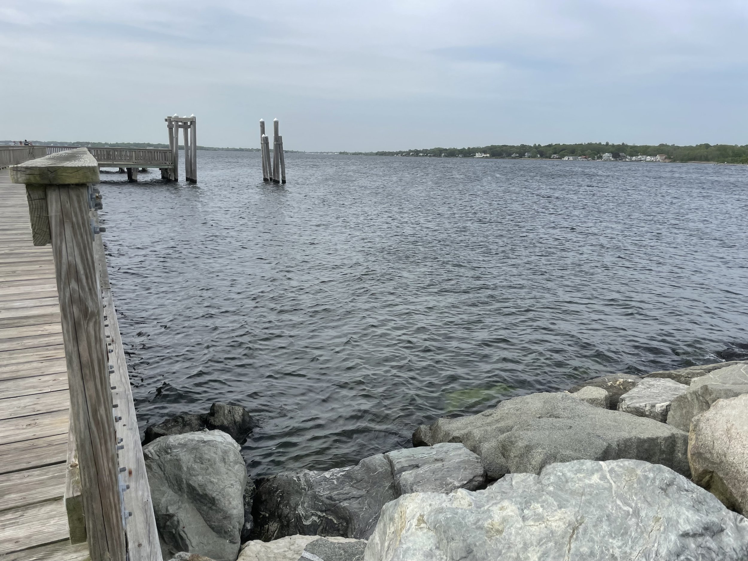 IMG_7450.jpeg